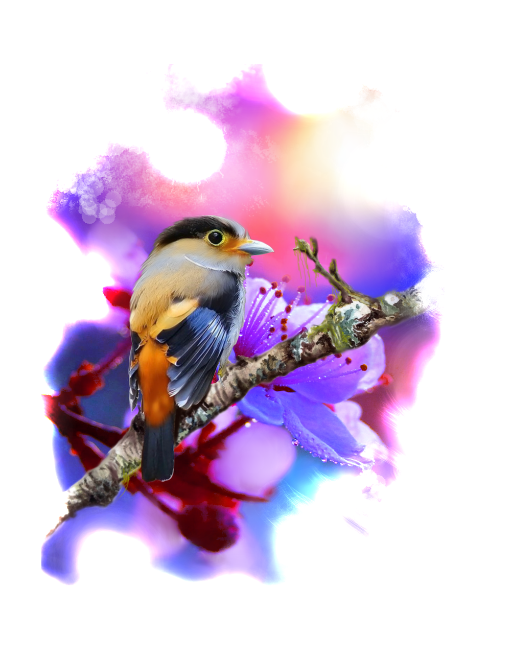 birds blossom flash justina.webp