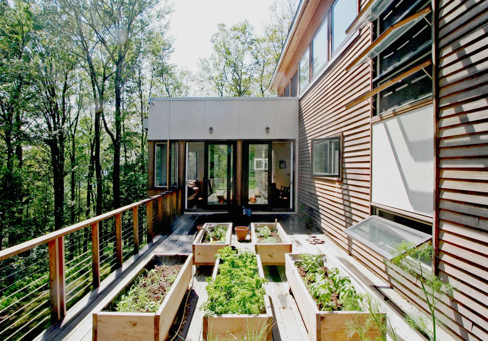 Harmony Hill