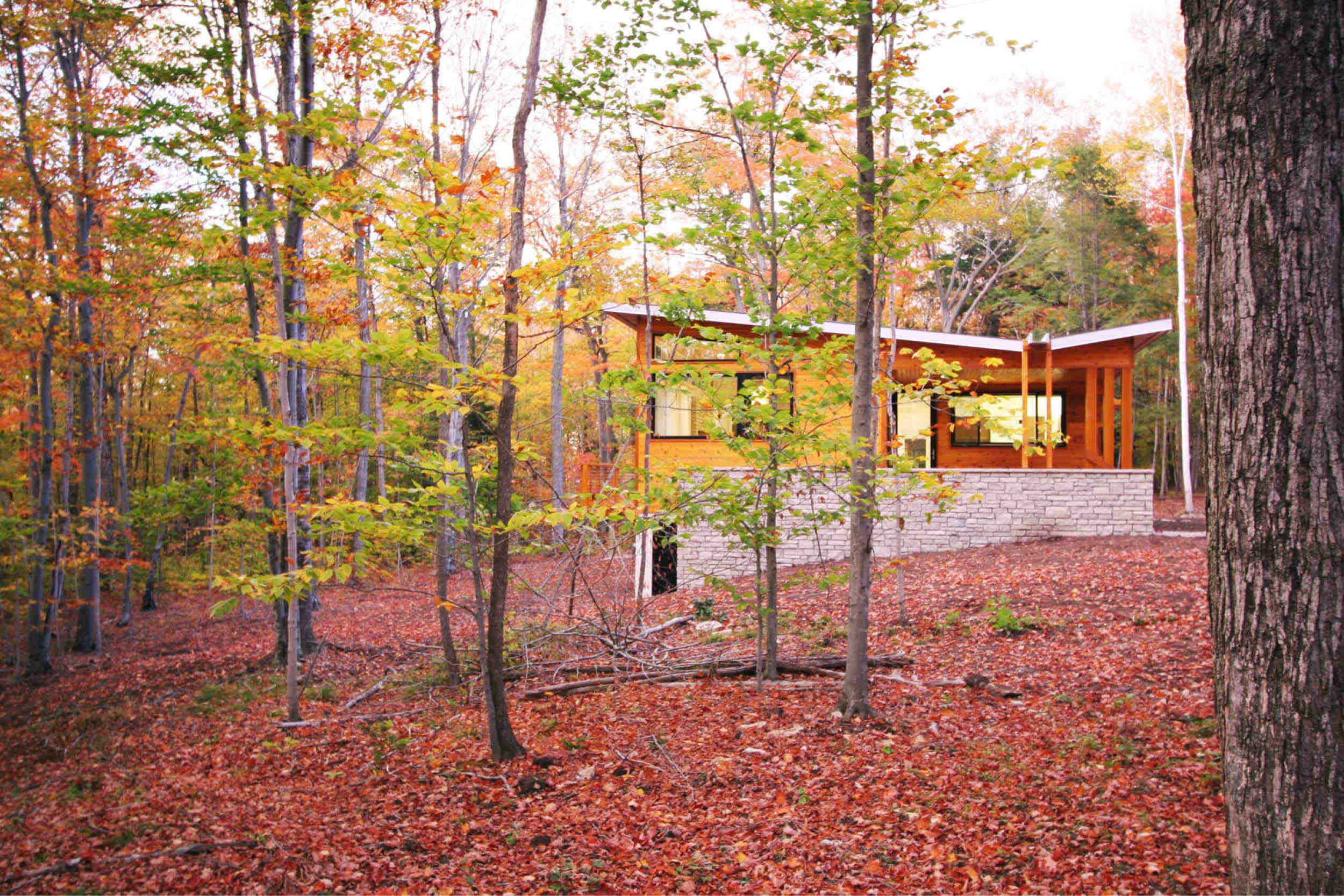 Modern Prefab Cabin House | Wisconsin | Butterfly Roof Cedar Siding Stone Wall | RES4