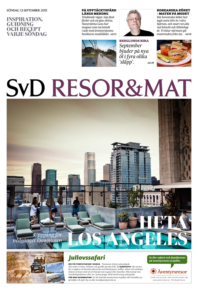 Svd-Downtown-Los-Angeles-1.jpg