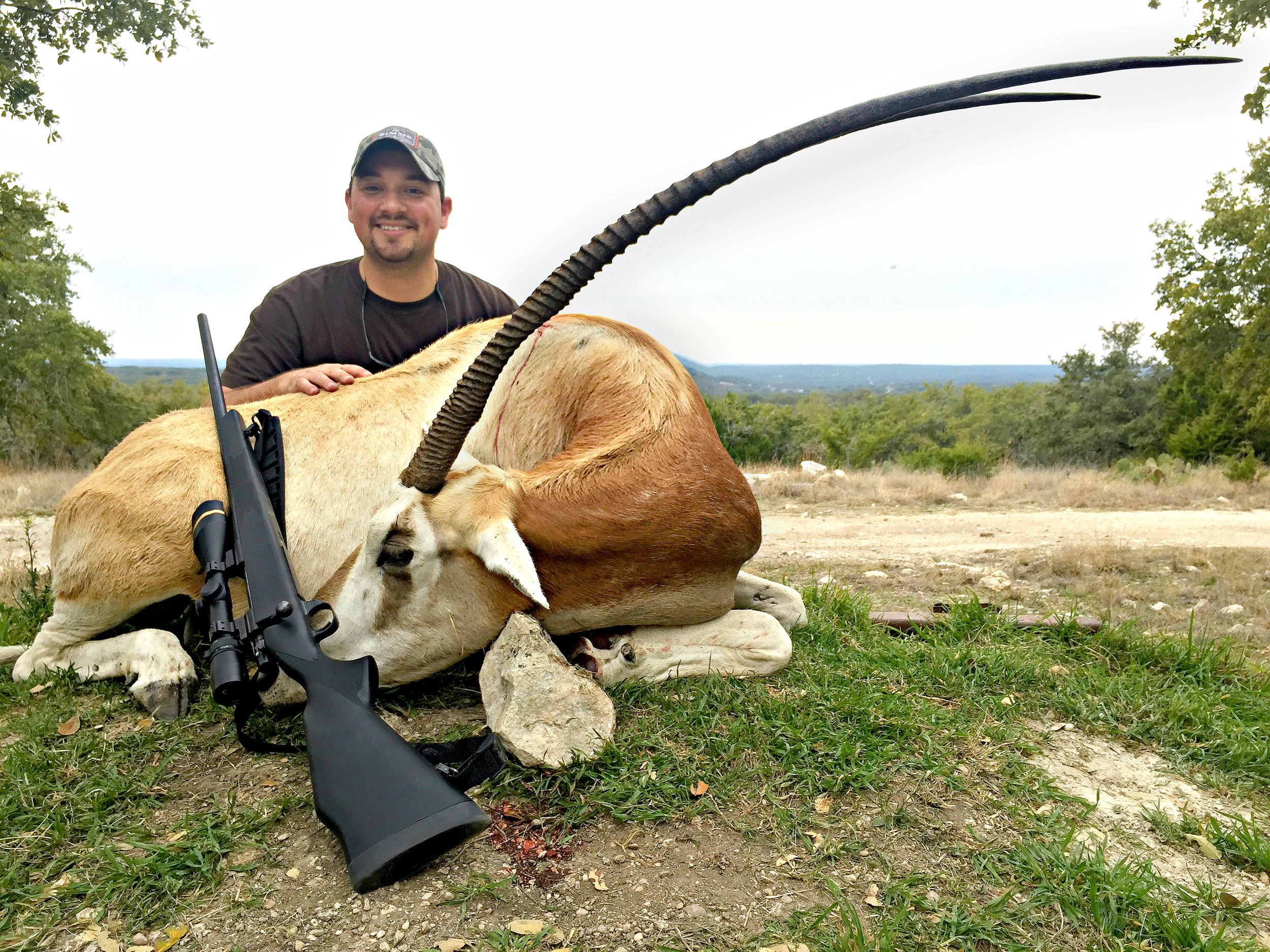 2015Exotic1.jpg