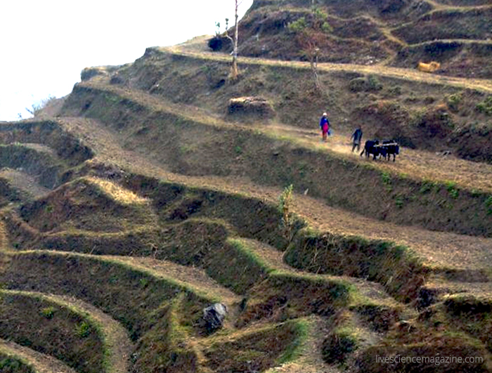 Himalayan-farm-livesciencemagazinedotcom-2937-himalayan-mountains-hike-culture-ecology.jpg