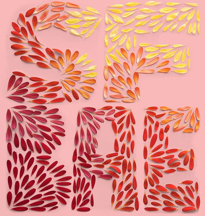 Homwork Week 12 Hom Sweet Hom