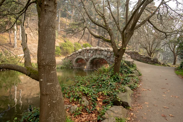 Bridge to Wellness.jpg