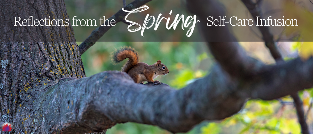 Spring Care Reflections from the Spring Self-Care Infusion — Rachelle Niemann