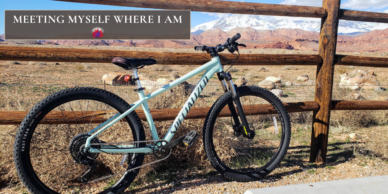 Seafoam green mountain bike leaning against a wooden fence with snowy mountains in the backdrop