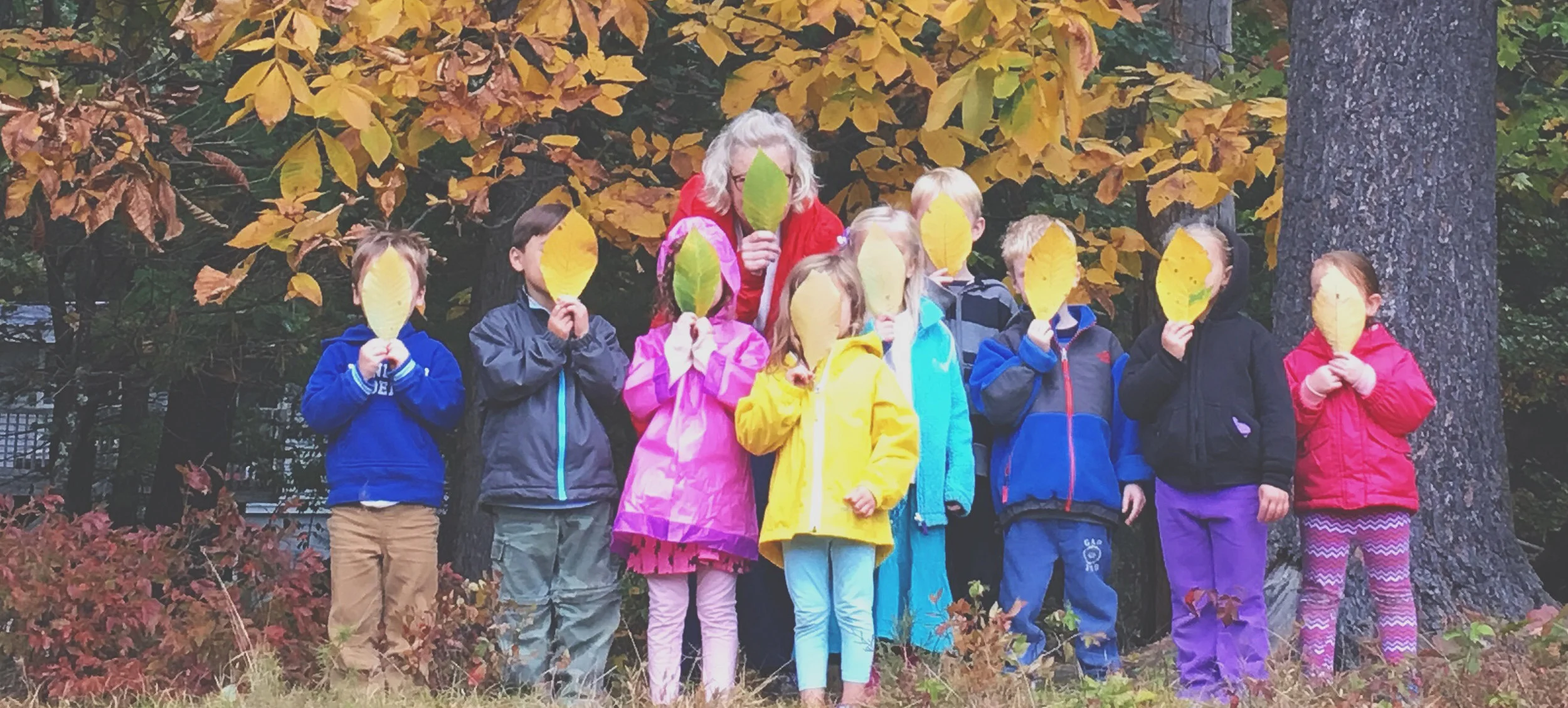 kidsleaves.jpg