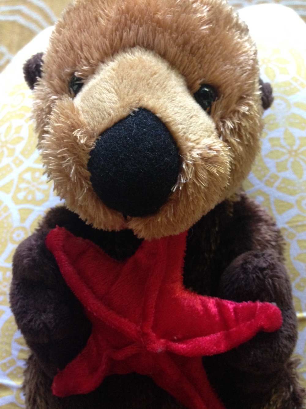 Never Getting Sally: Coping With Miscarriage