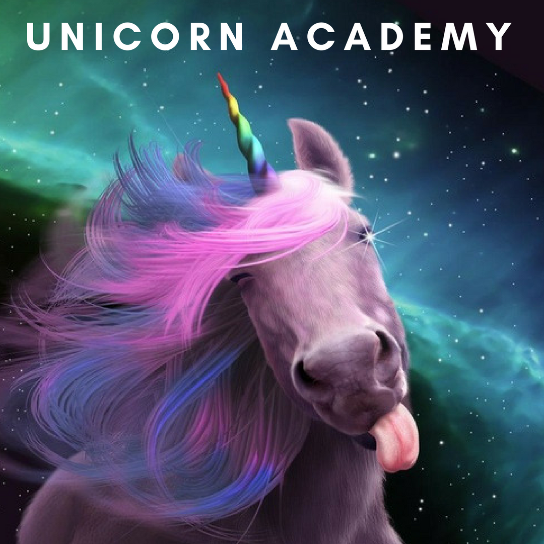 unicorn academy.png
