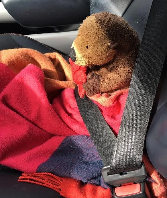 Chugging the Grief Cocktail