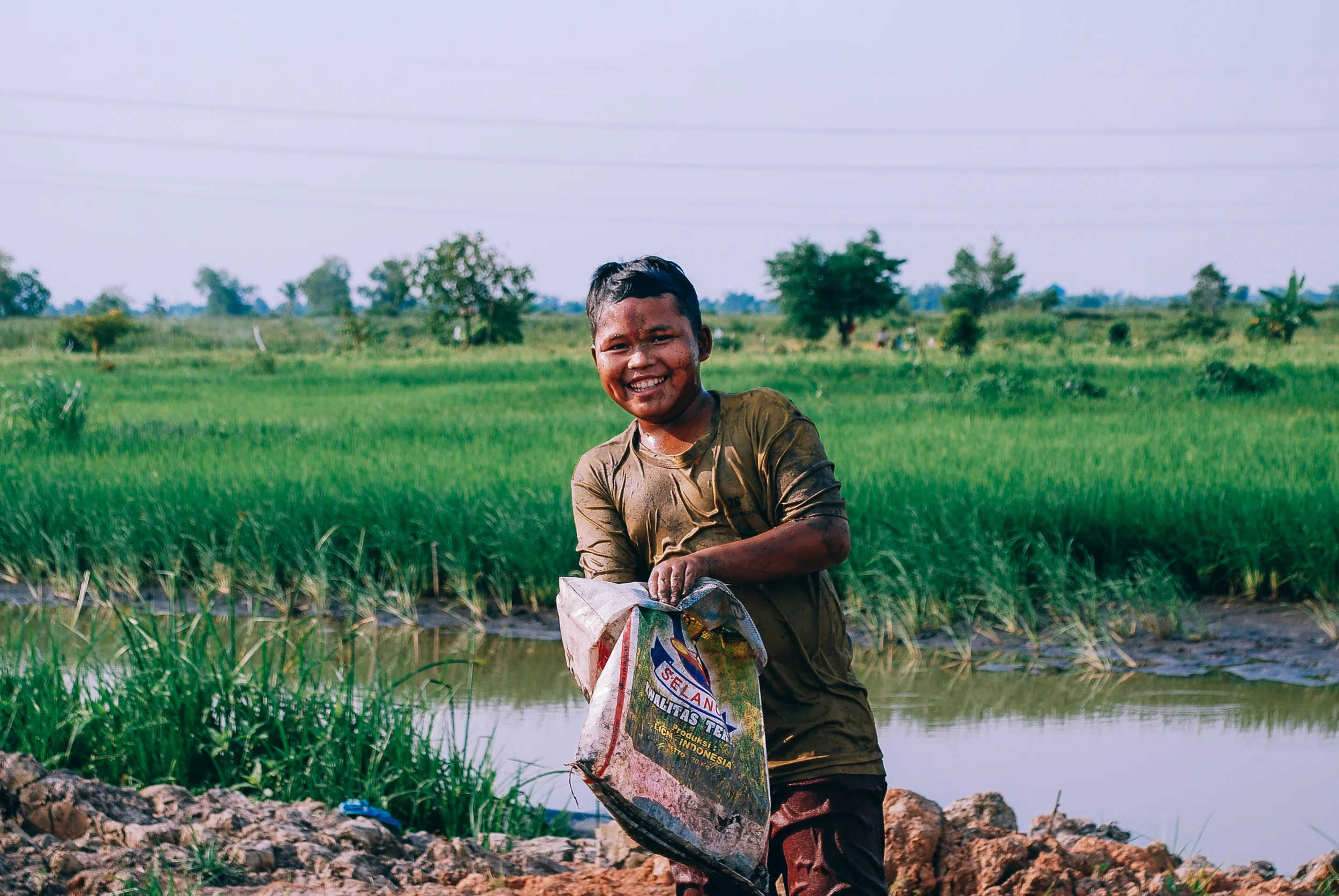 Fishing in flooded padi fields