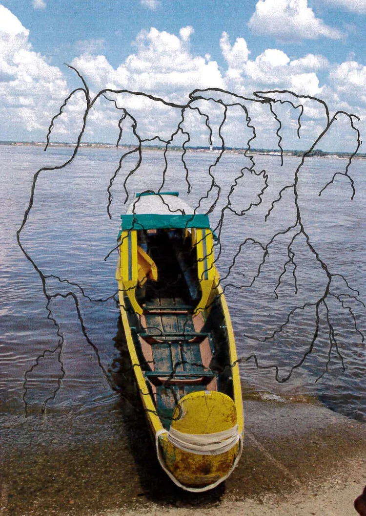 Building in, Around and in Association with Water with Sean Leonard