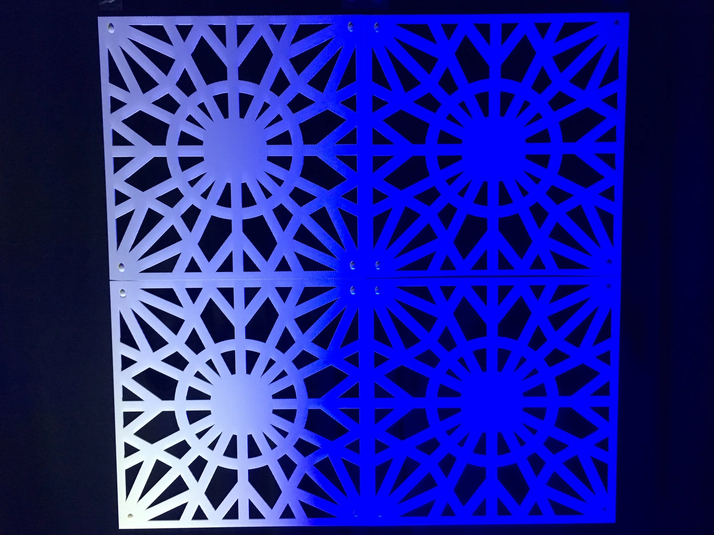 Photo Mar 02, 2 04 19 PM.jpg