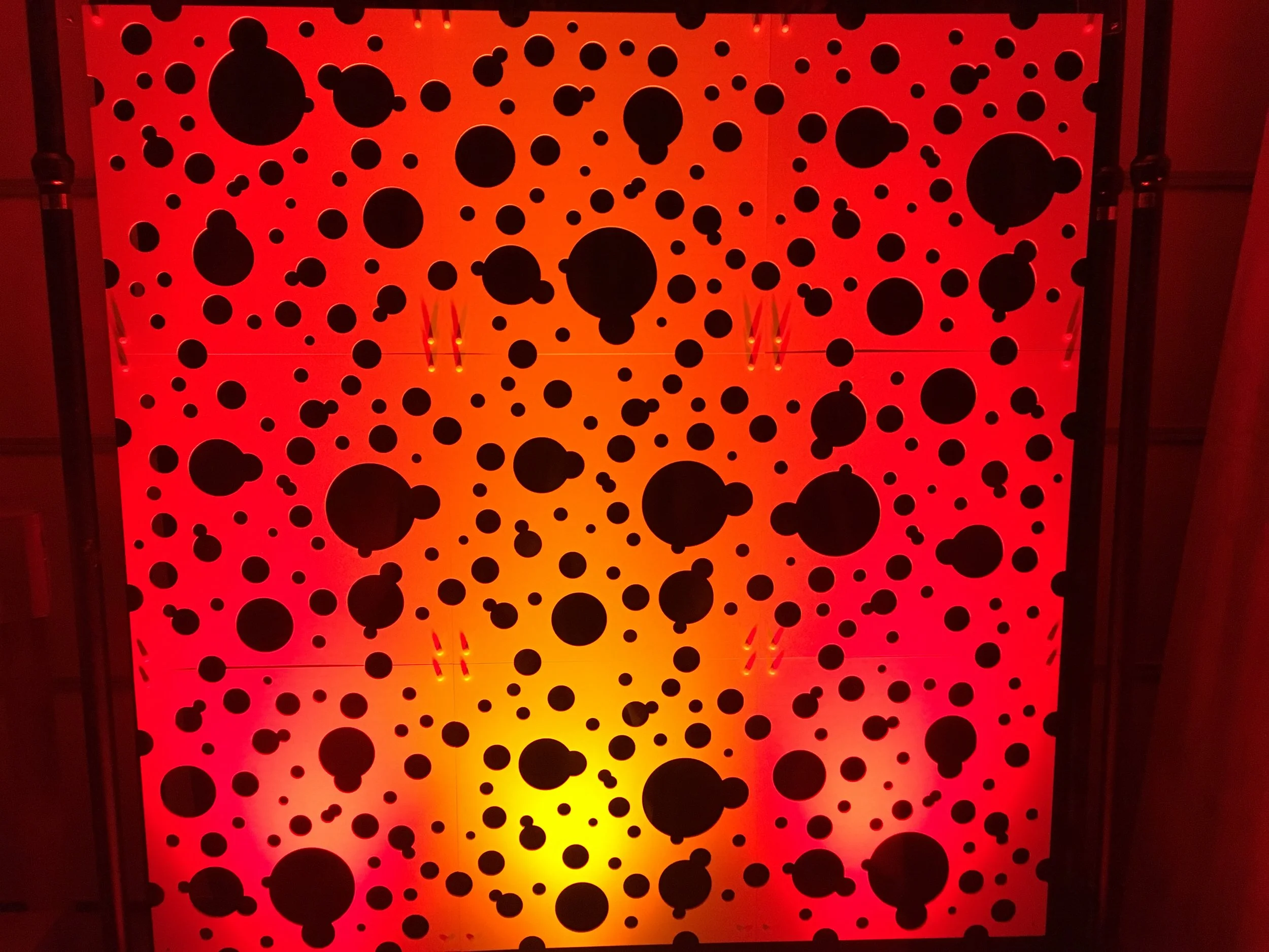 Photo Mar 01, 6 31 06 PM.jpg