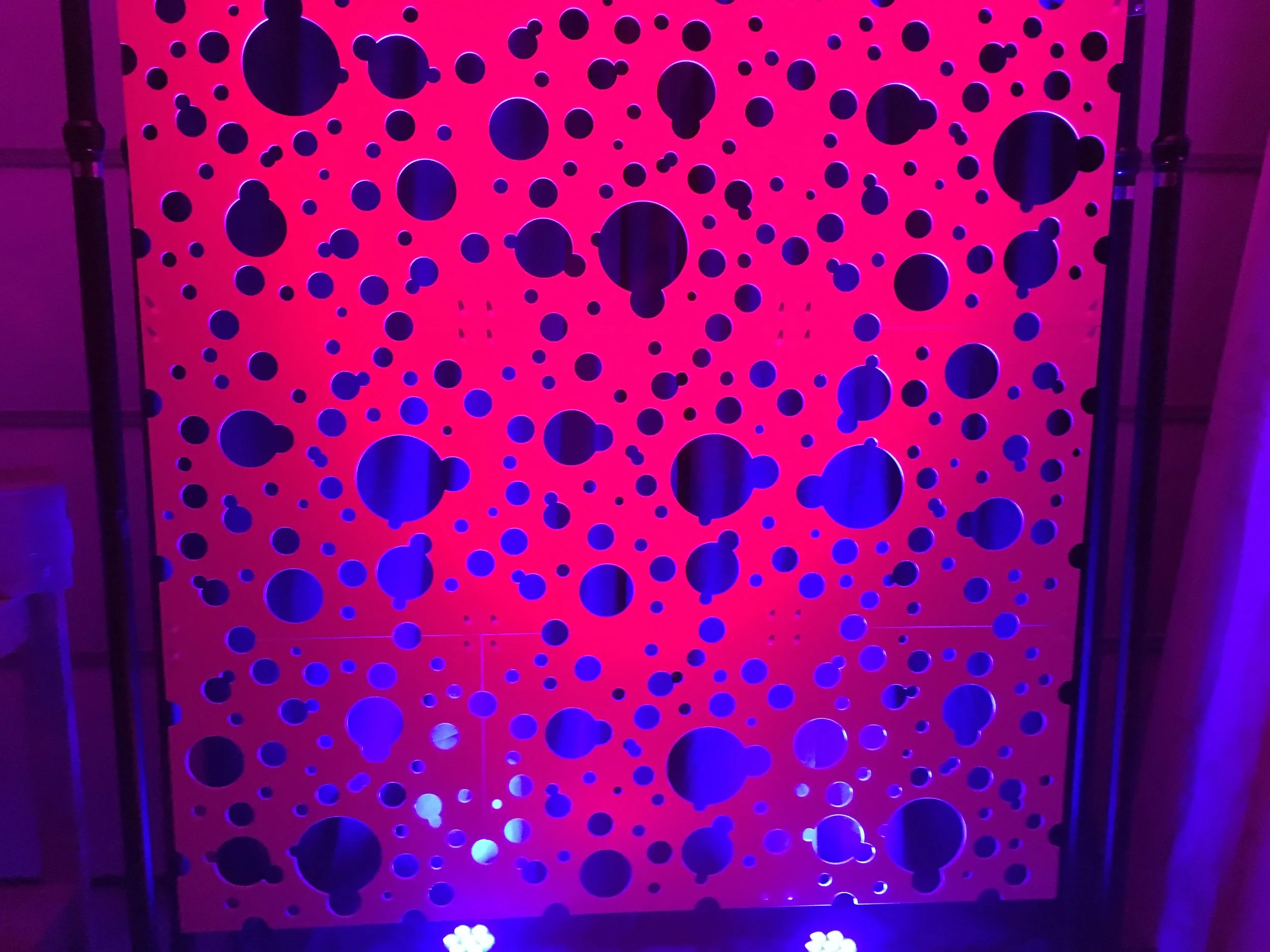 Photo Mar 01, 6 39 16 PM.jpg