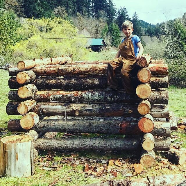 Thanks to Uncle @salmon_slayer, Deadwood was able to teach some basic building techniques. #logcabin