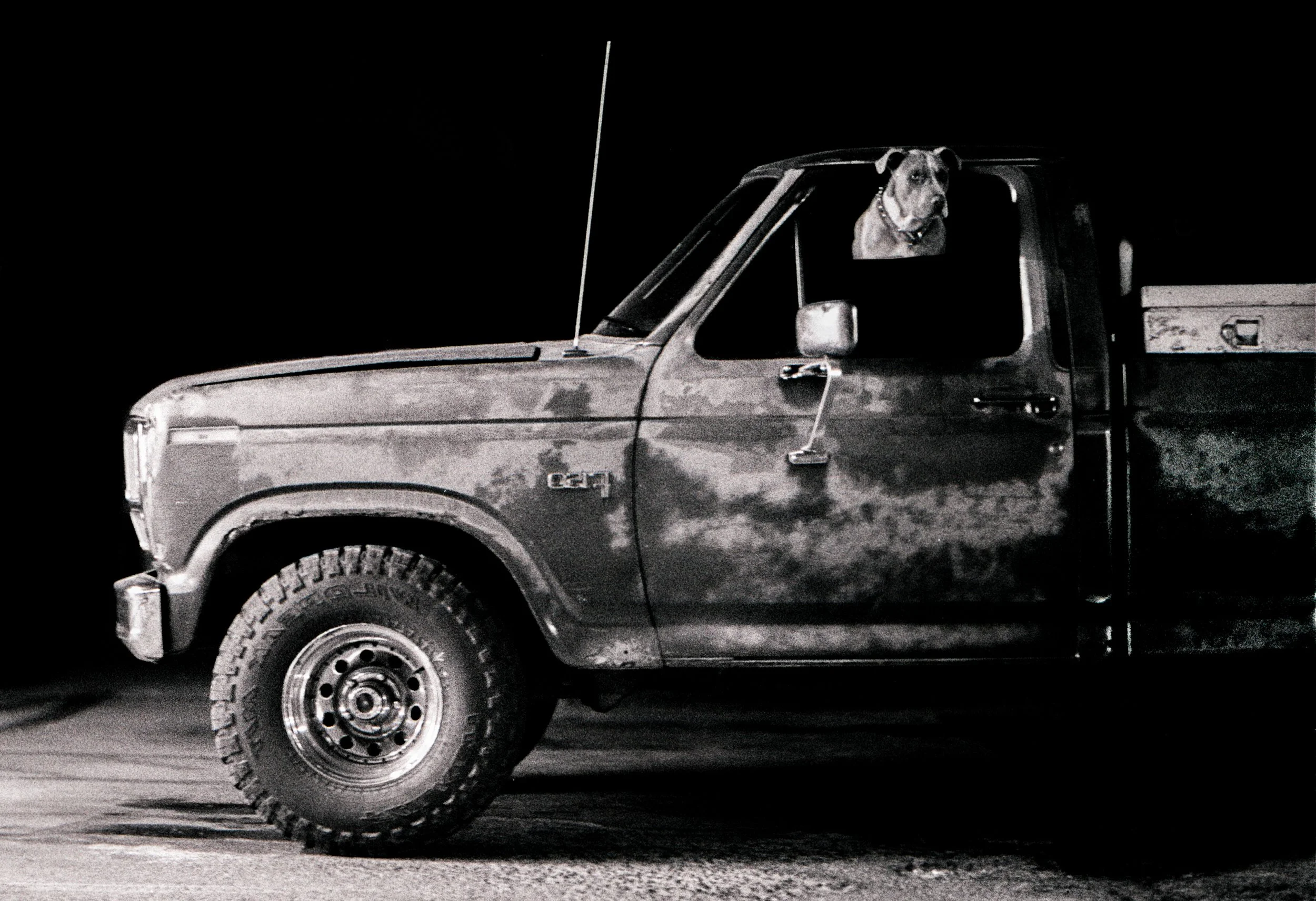Dog in Truck final.jpg