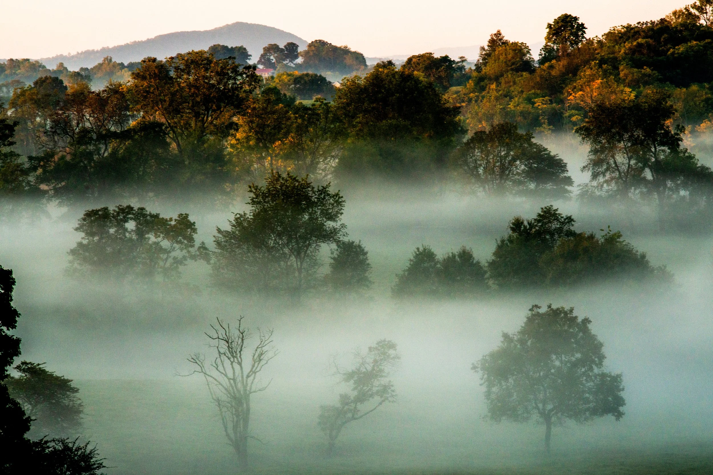 Morning Fog in Mountains Virginia Final.jpg