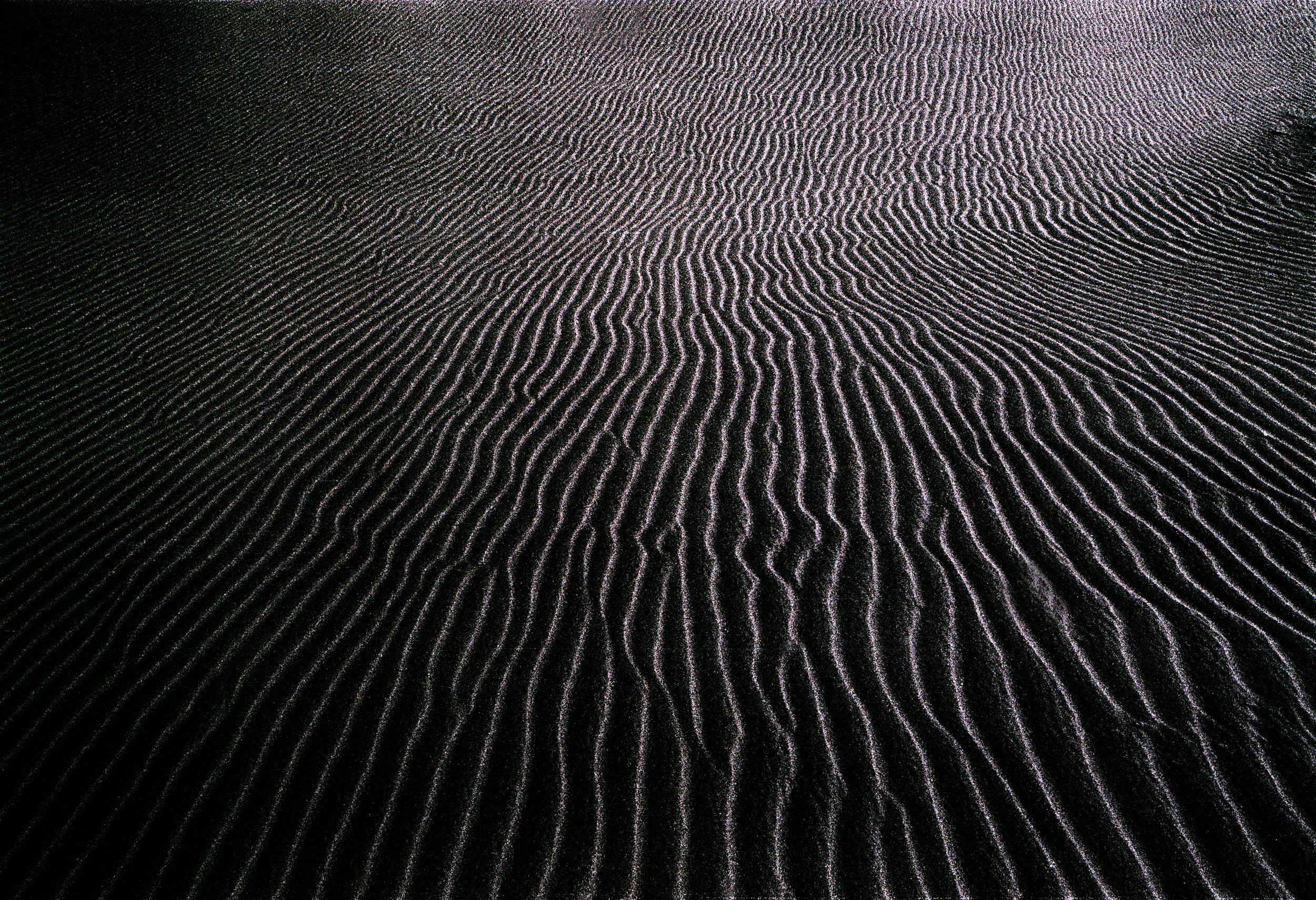 Sand Dune Lines Death Valley Nikon F B&W Film Final 2.JPG