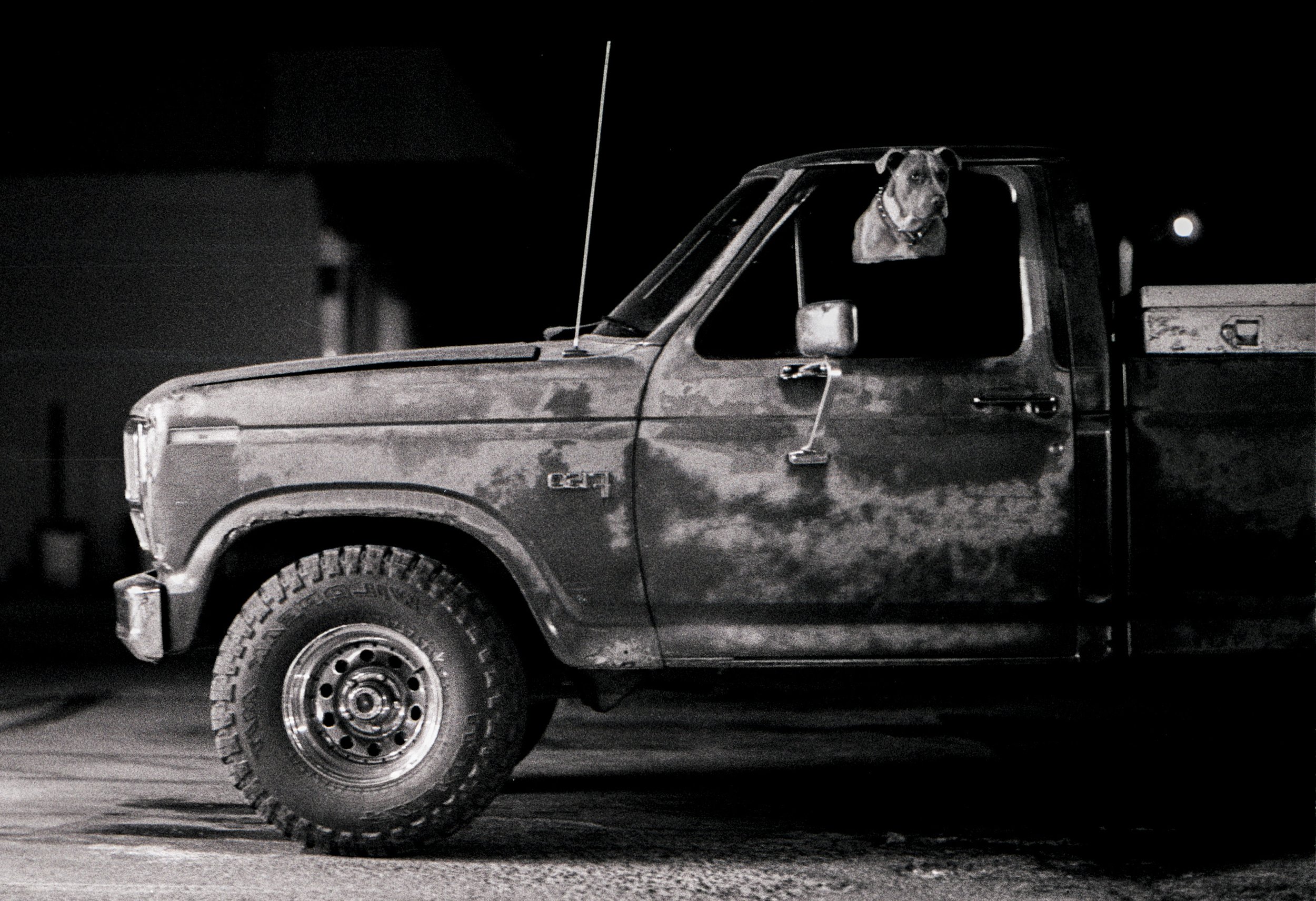 Dog in front Seat of Car Taos New Mexico Nikon F B&W Film Roll Final crop.jpg
