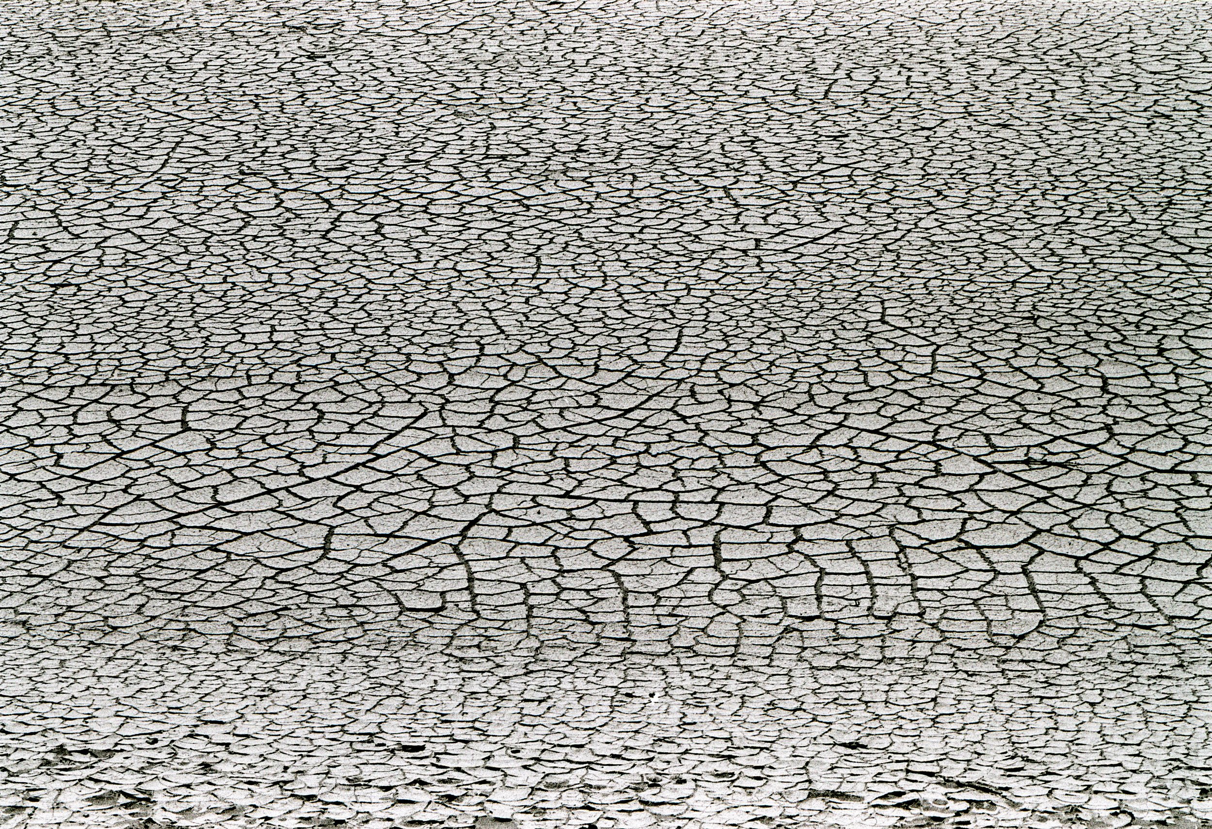 Cracked White Ground Texture Death Valley Nikon F B&W Film copy.jpg