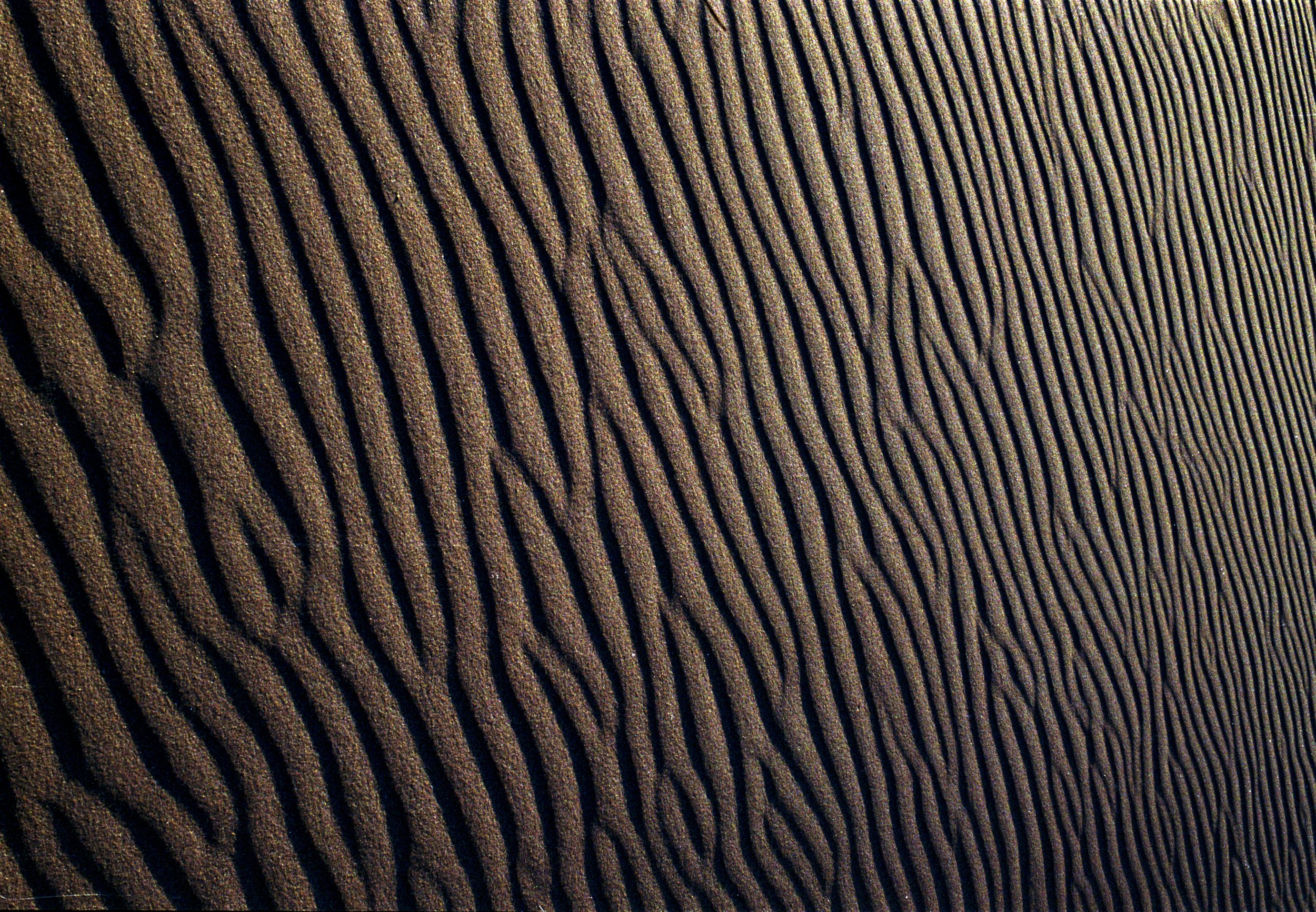 Sand Rockaway Beach cropped Nikon F Color Film Official.jpg