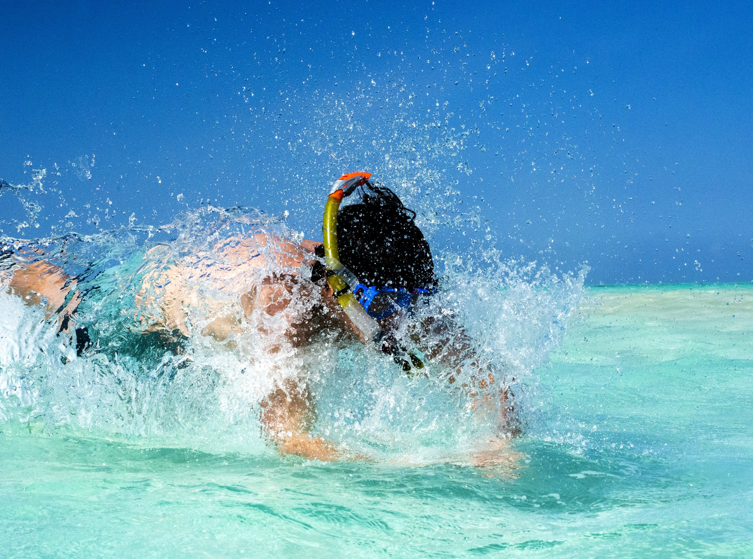 Joey Dives into the Water Zanzibar Tanzania Final.jpg