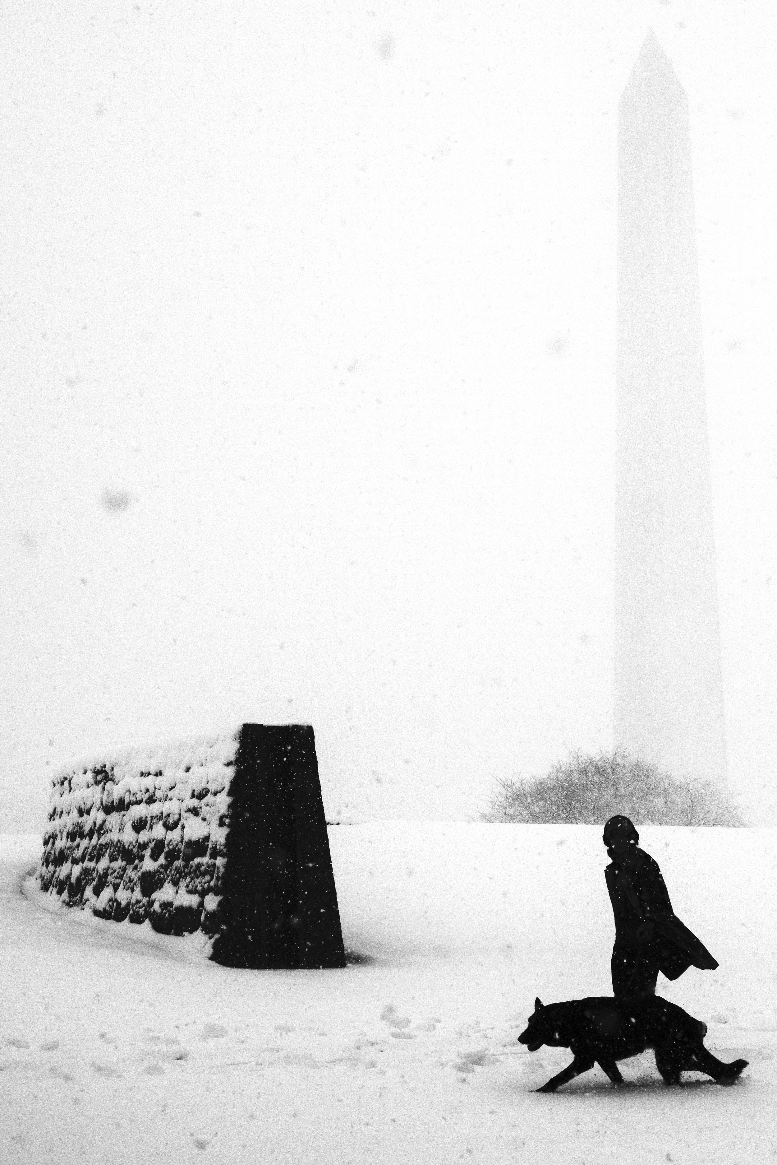 Woman and Dog Walk Washington Monument B&W Snow Day DC Cropped.jpg