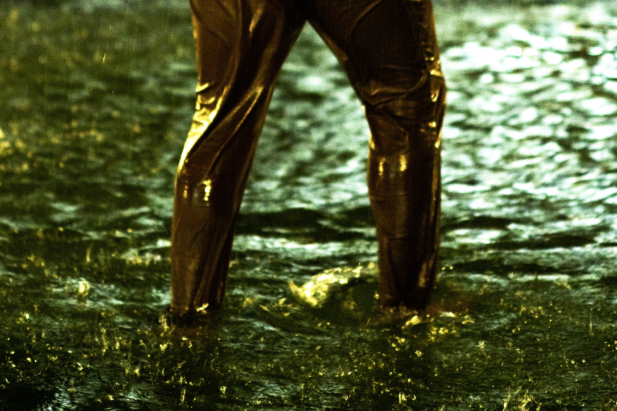 Golden Pants in Water Washington Square Park NYC 2.jpg