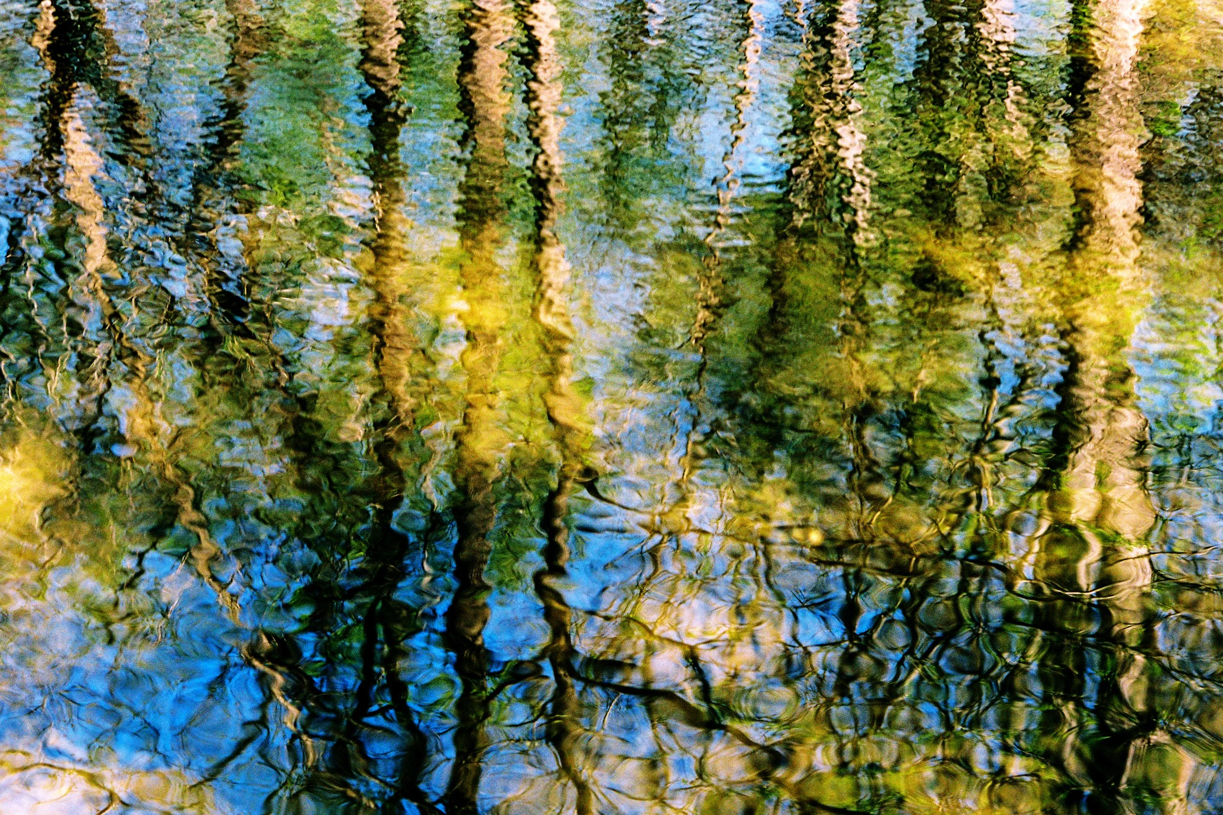 Rock Creek Park Water Ripple Canon F1 Color Film DC Official.jpg