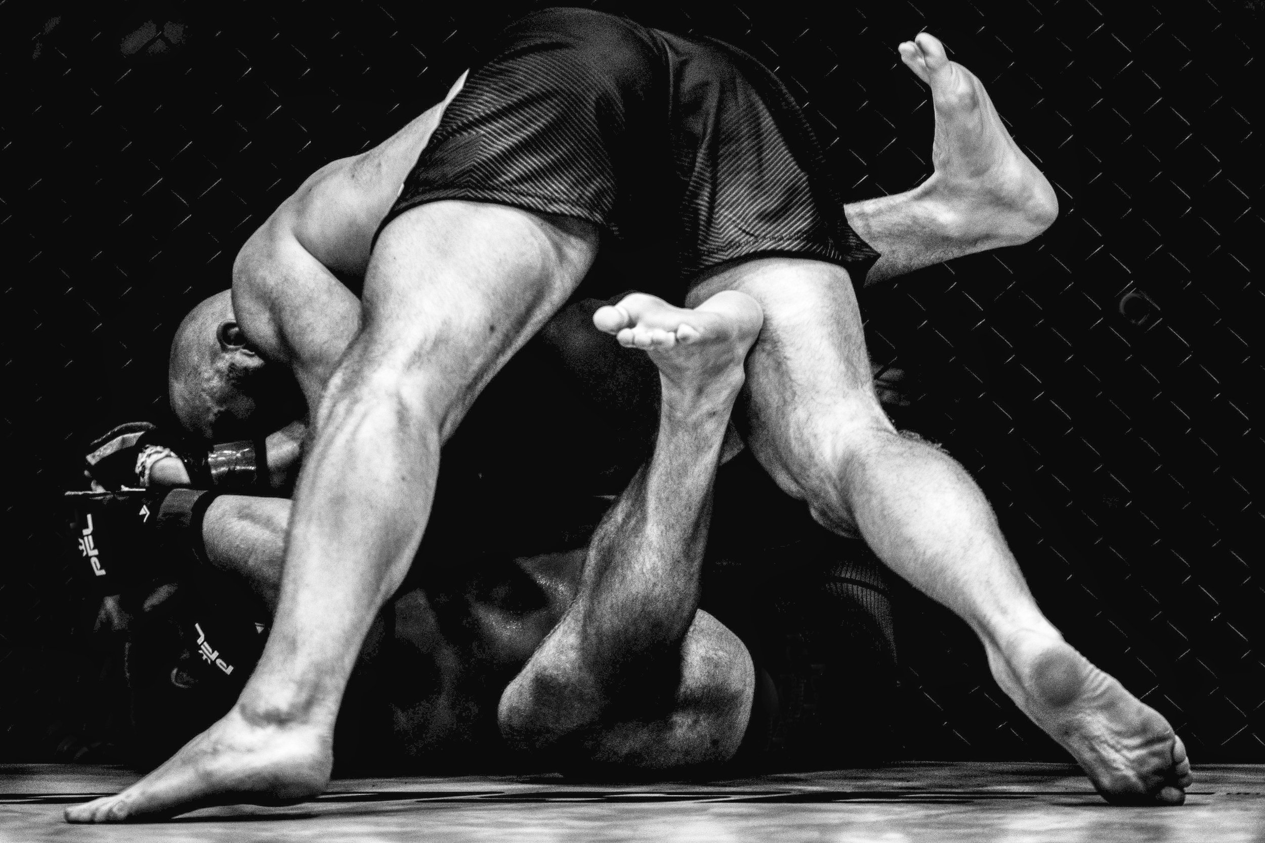 Grapple PFL Final.jpg