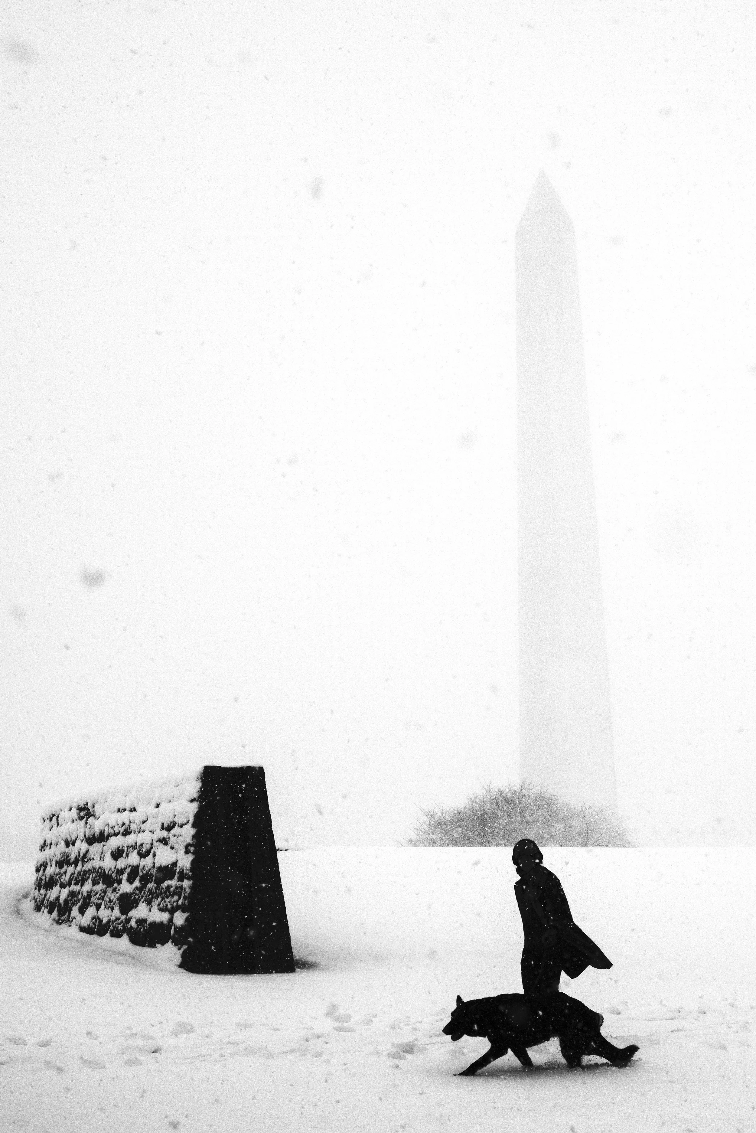 Monumental Snow DC.jpg