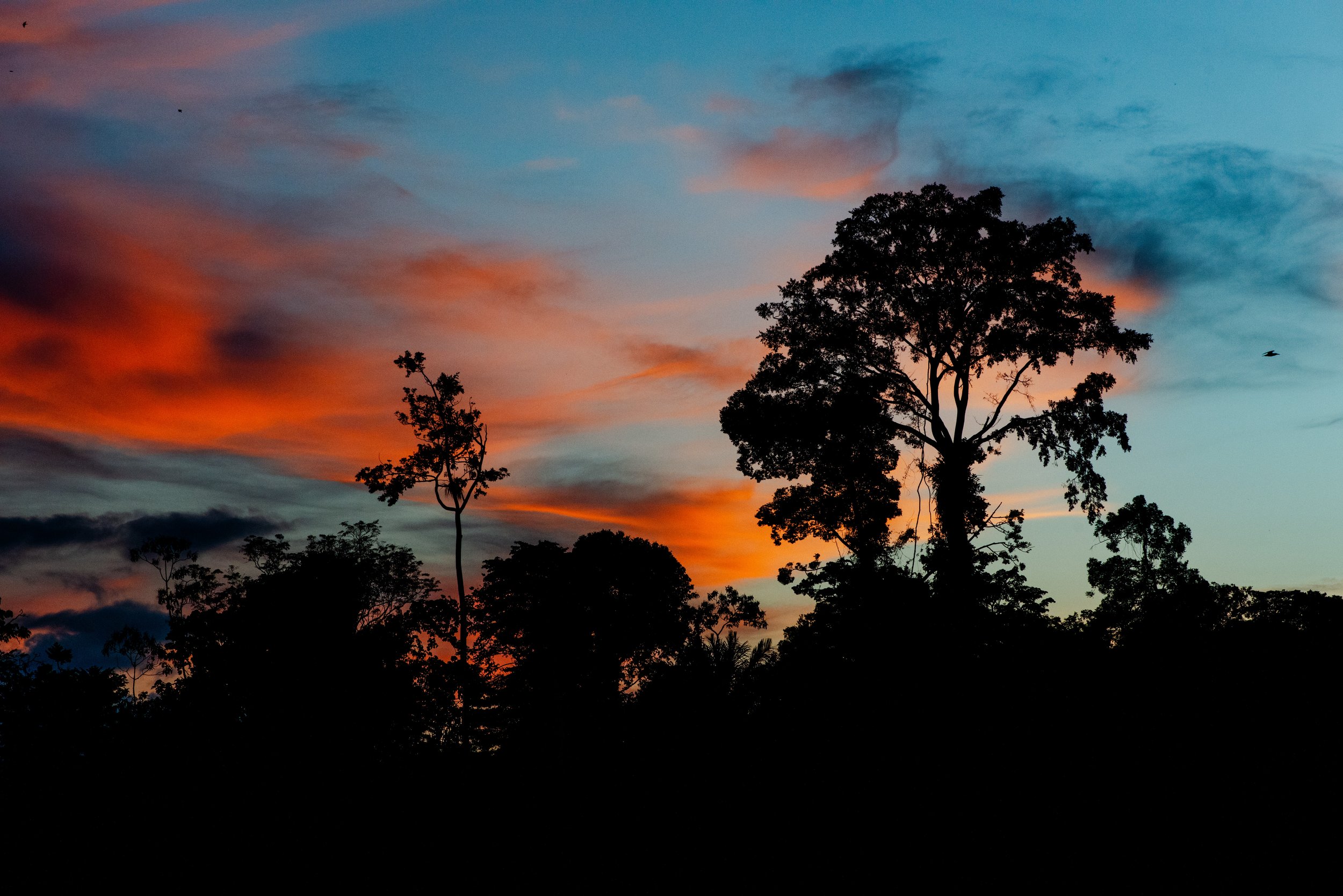 DSC_9531.jpg