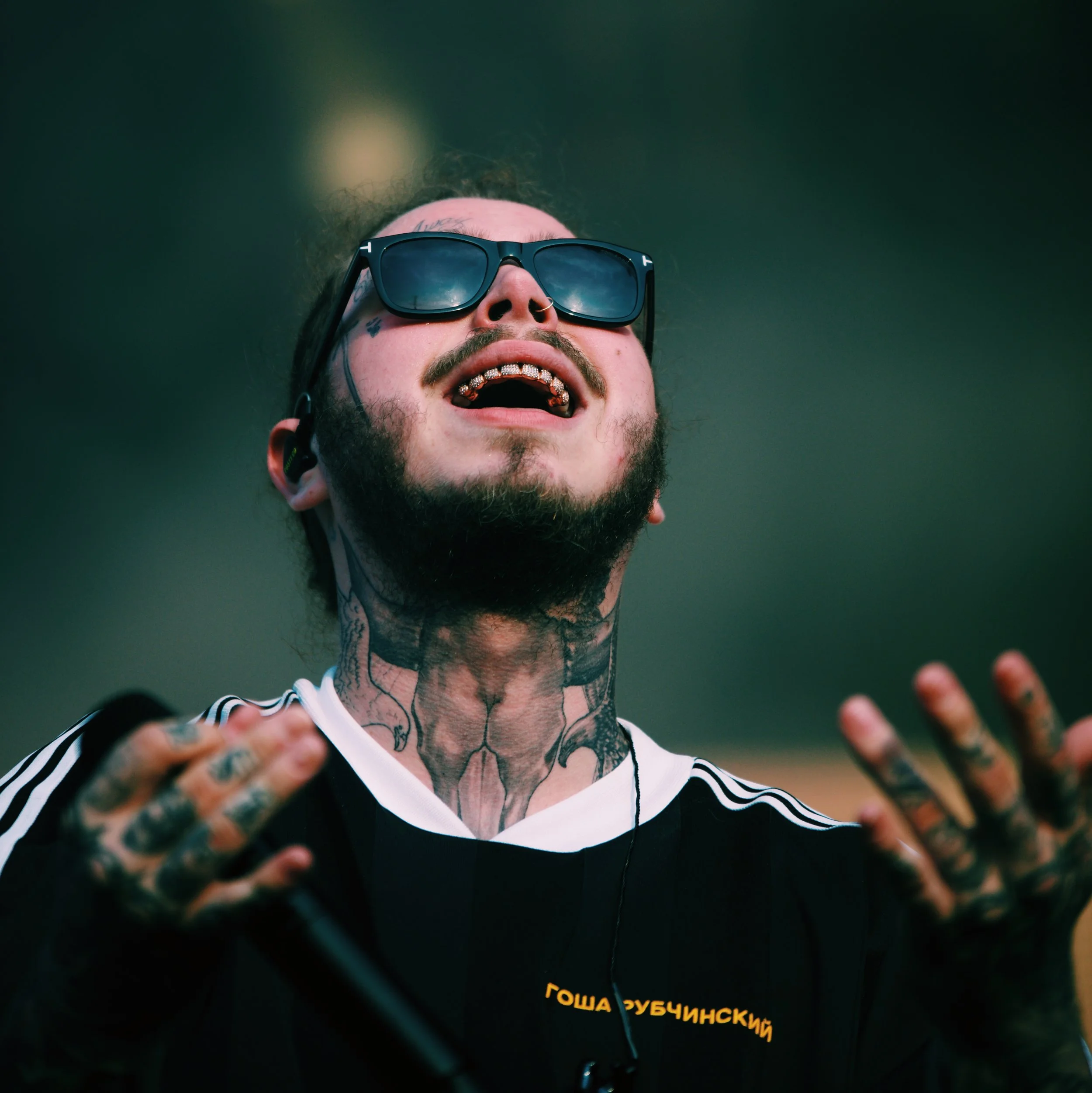 Post Malone Grills hands up Gov Ball NYC.JPG