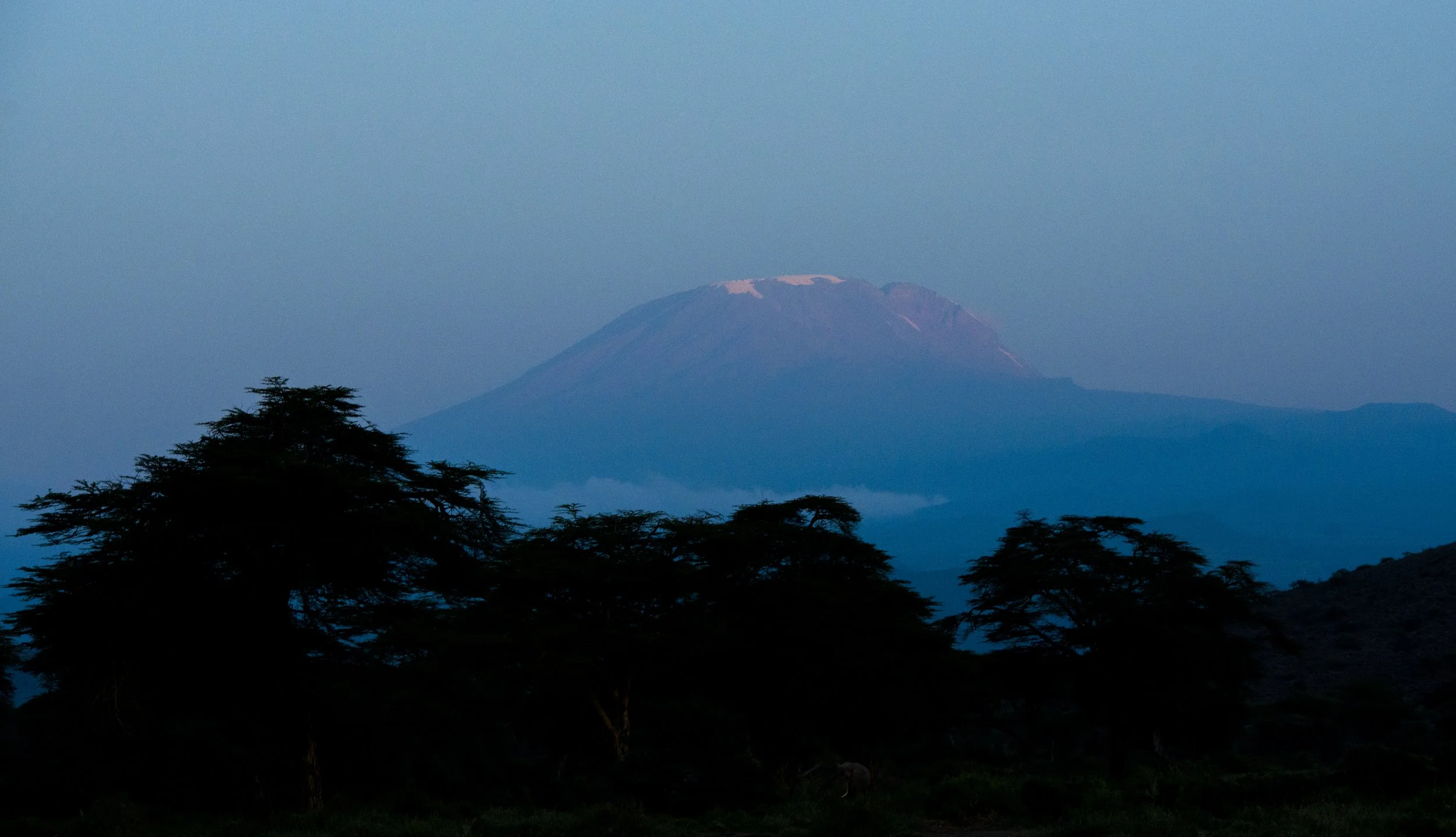 Blue Hour Kilimanjaro Tanzania.jpg