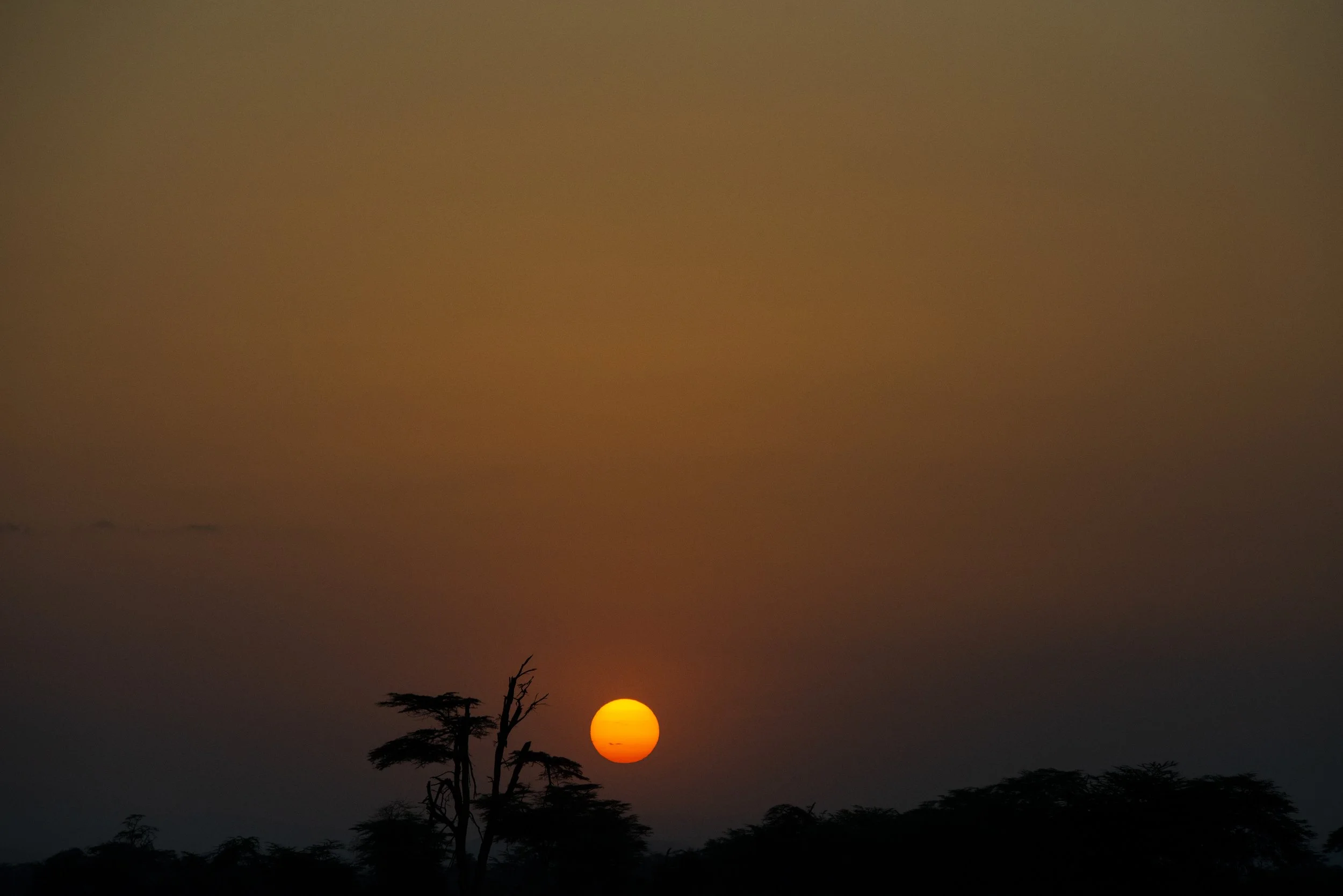 Sun Drop Tinya Tanzania.jpg