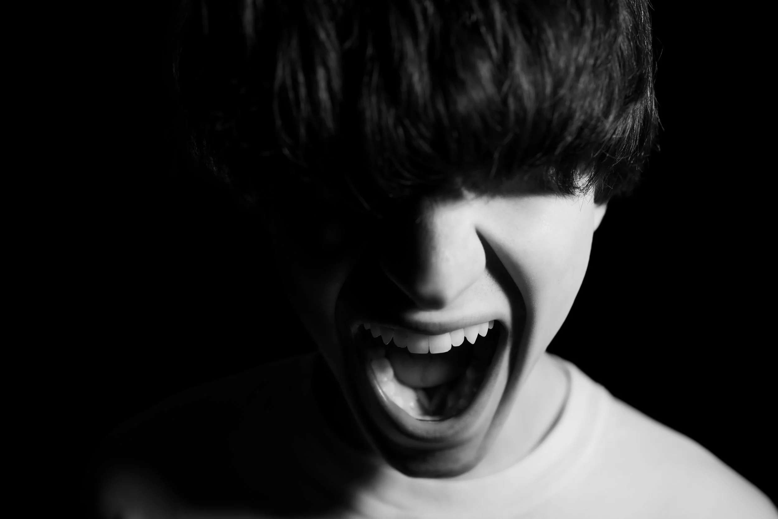 Joe Self Portrait Scream DC.jpg