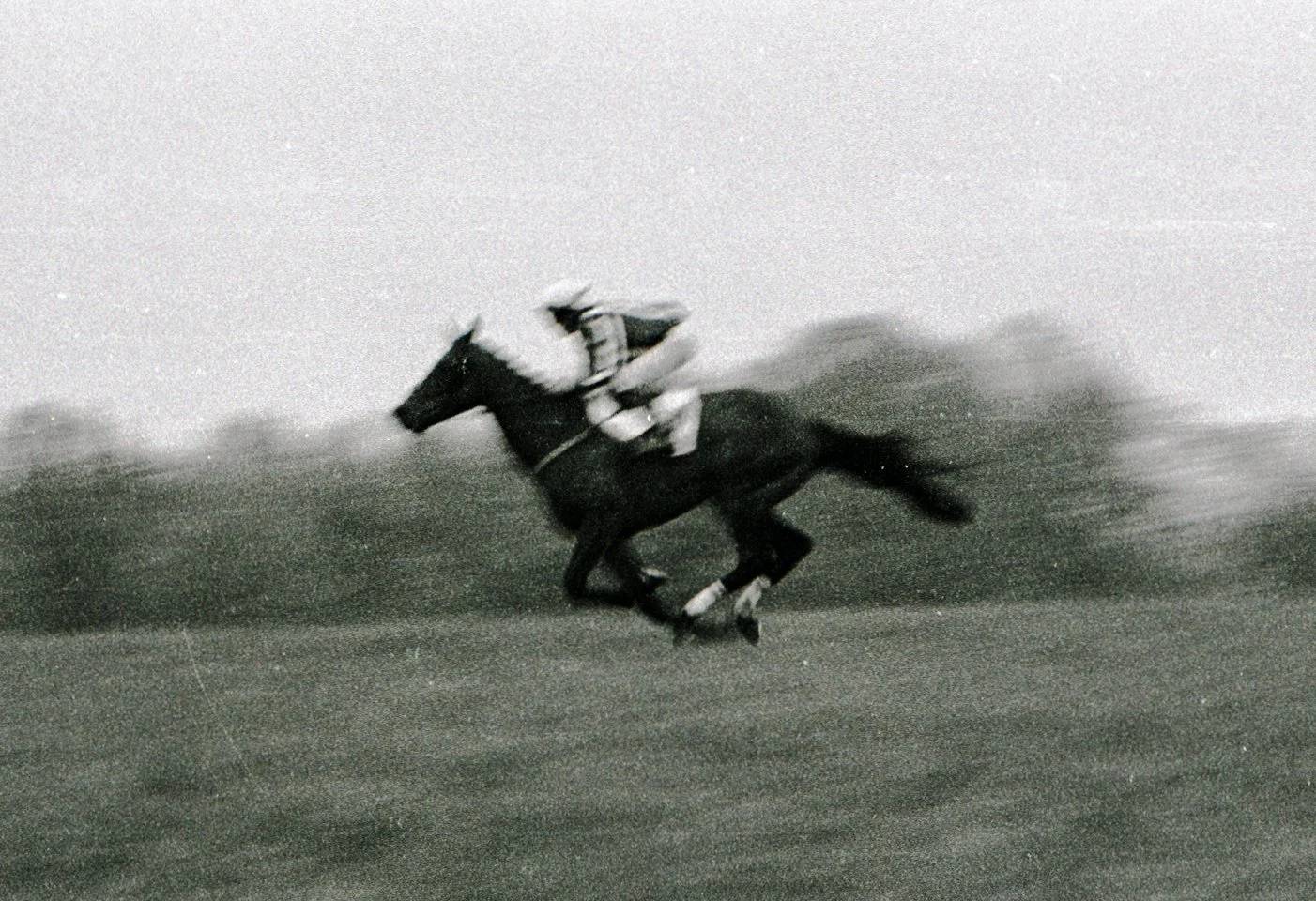 Horse Race Black and white photo of a jockey riding a horse at full speed on a racetrack.