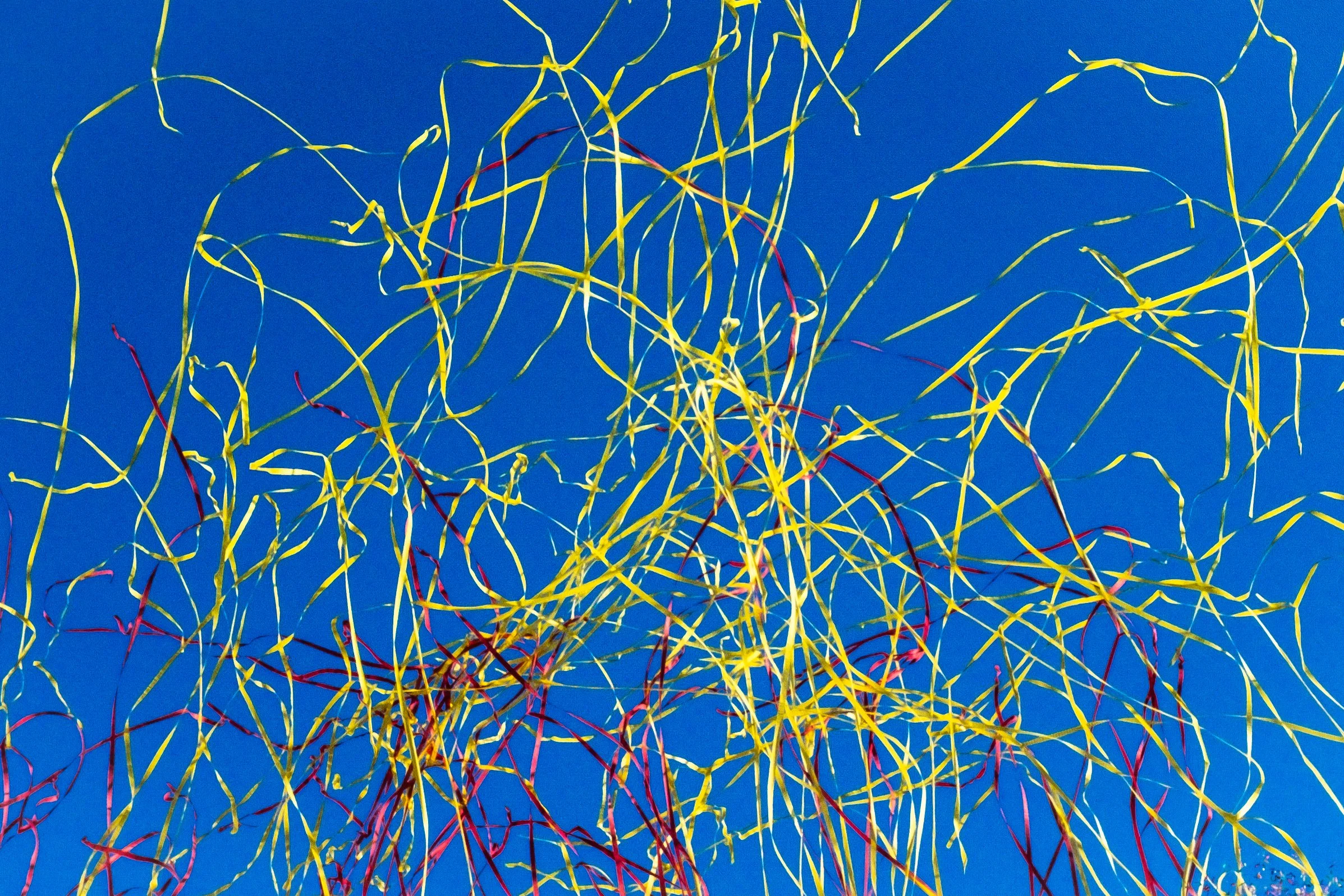 Confetti Carnival Festival Italy