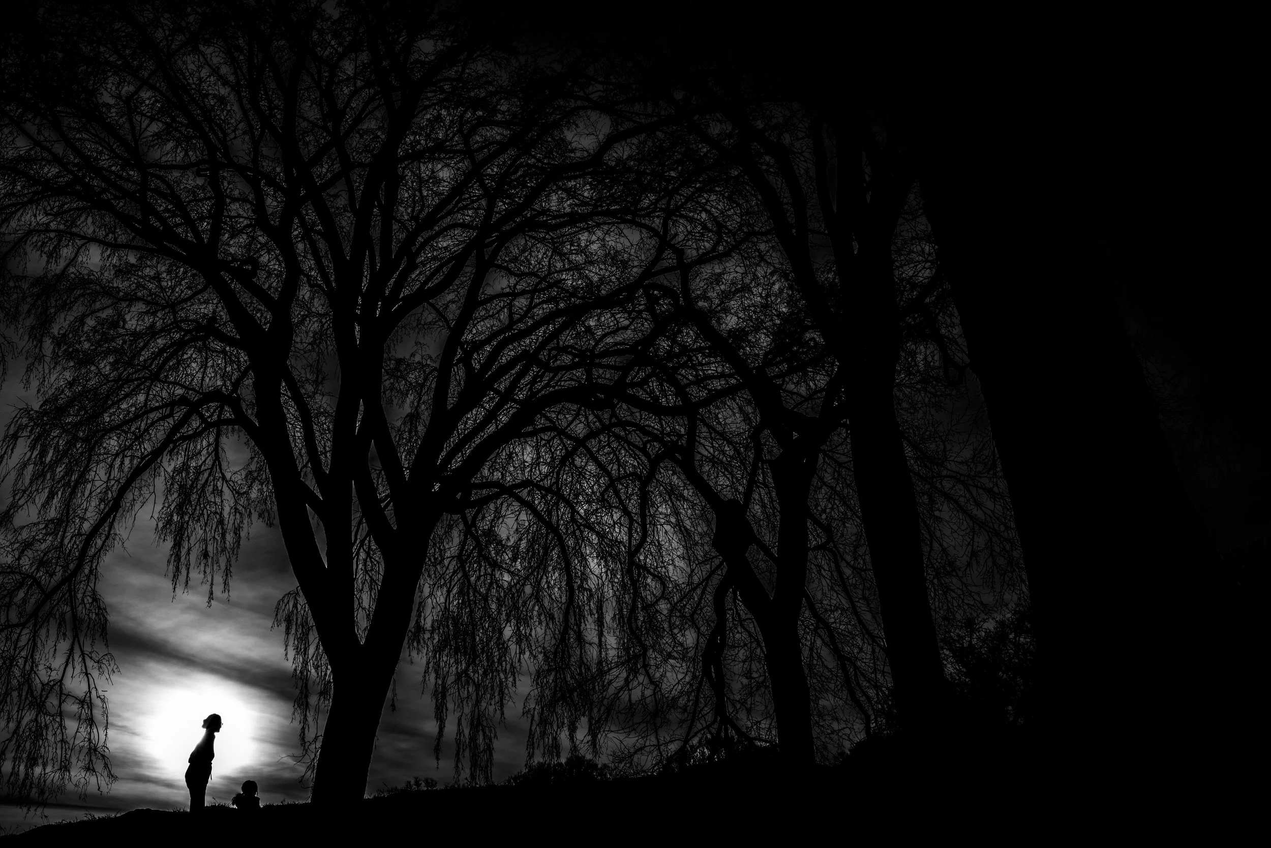 Mother Daughter Silhouette Prospect Park Brooklyn