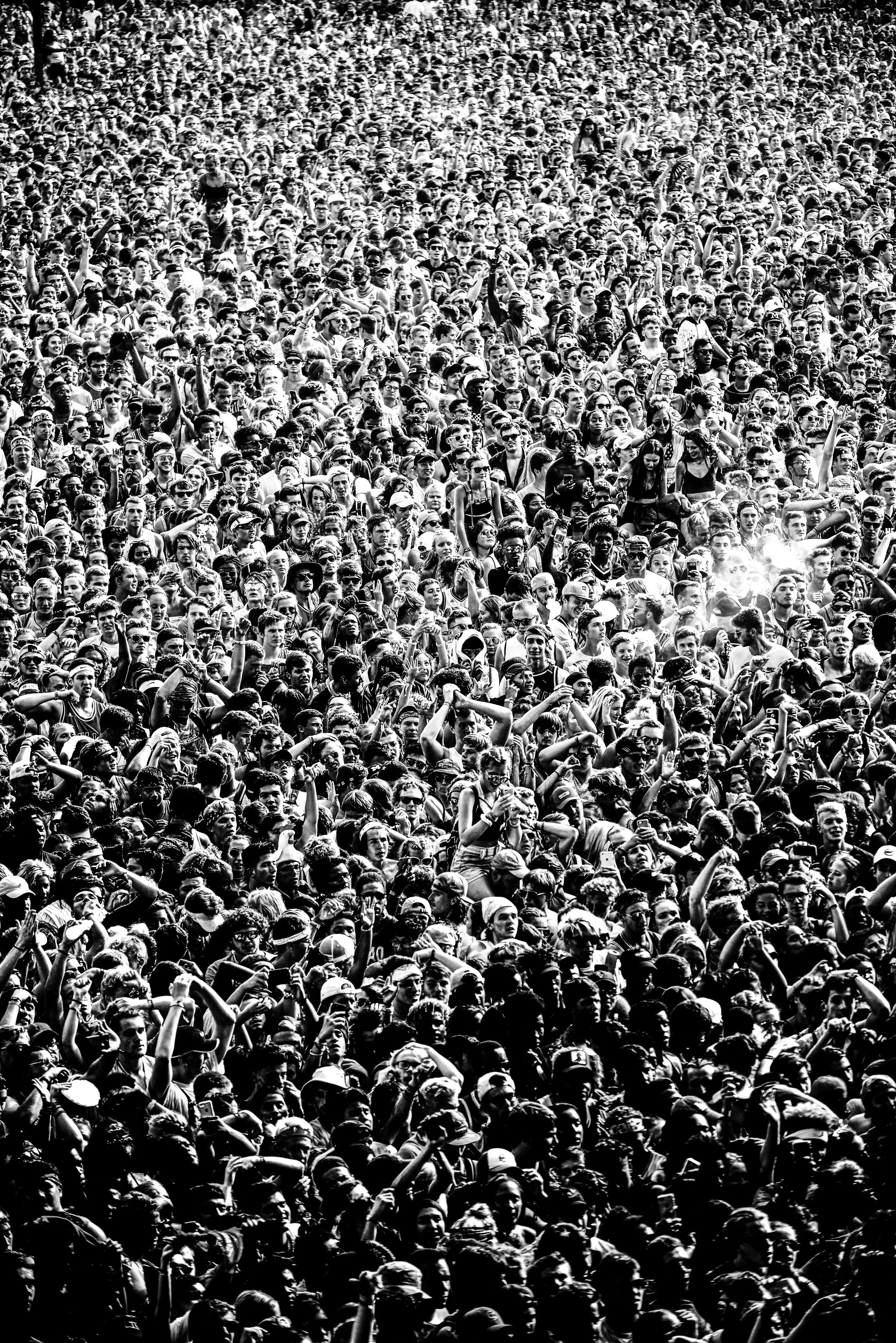 Lollapalooza Crowd Final.jpg