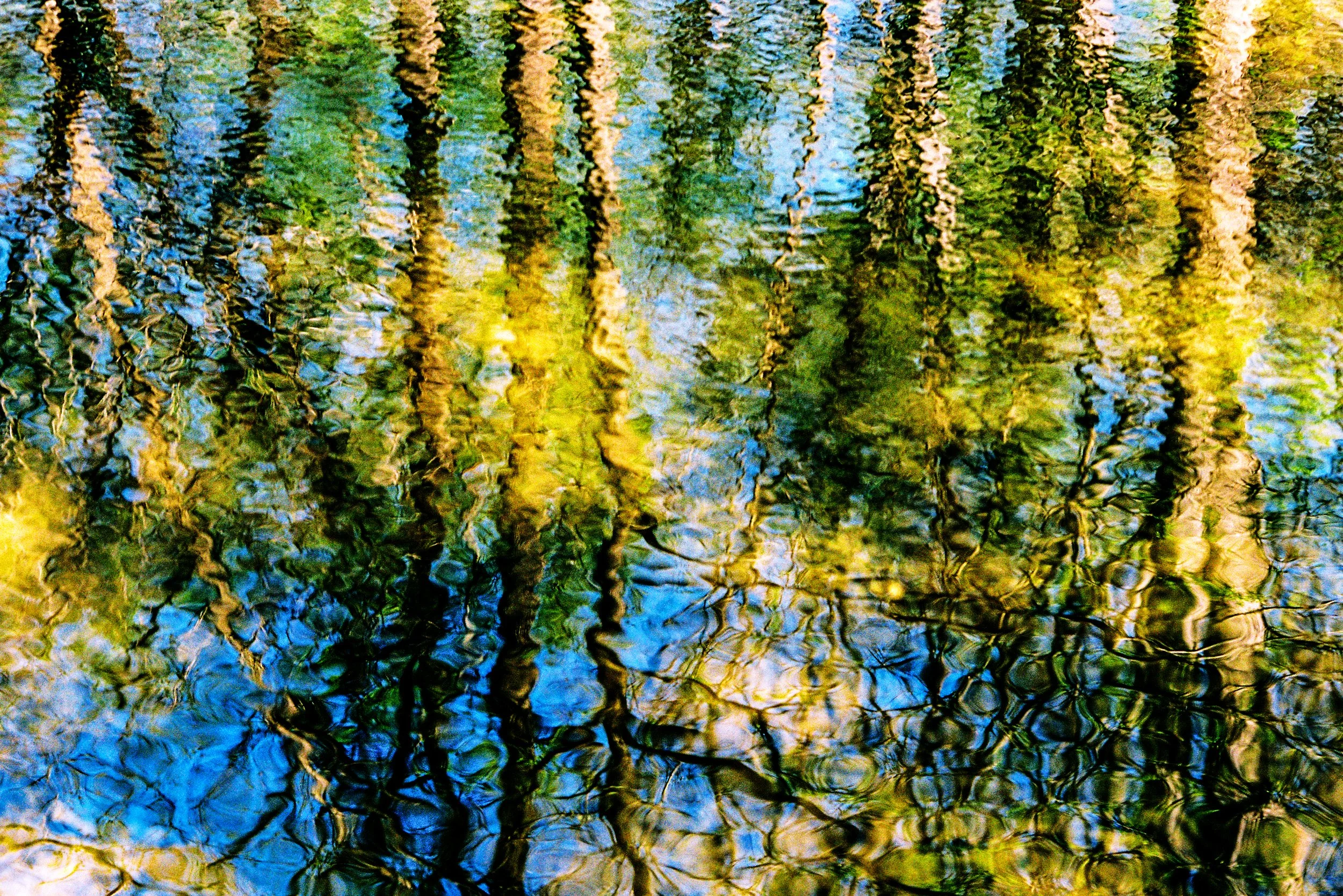 Rock Creek Park Water Ripple Official.jpg