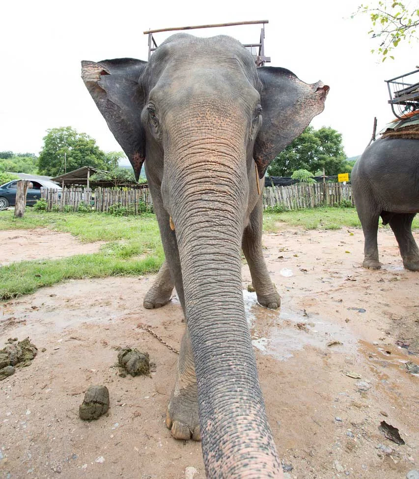 Stop making resolutions if you really want change in the new year