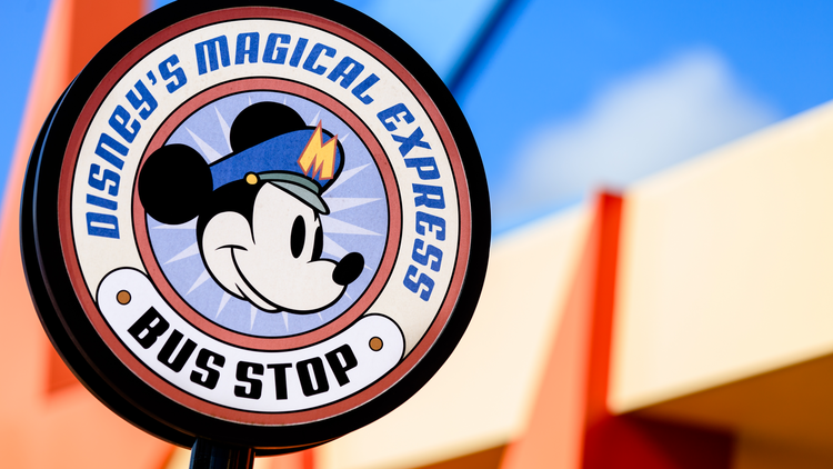 Disney's Magical Express Service