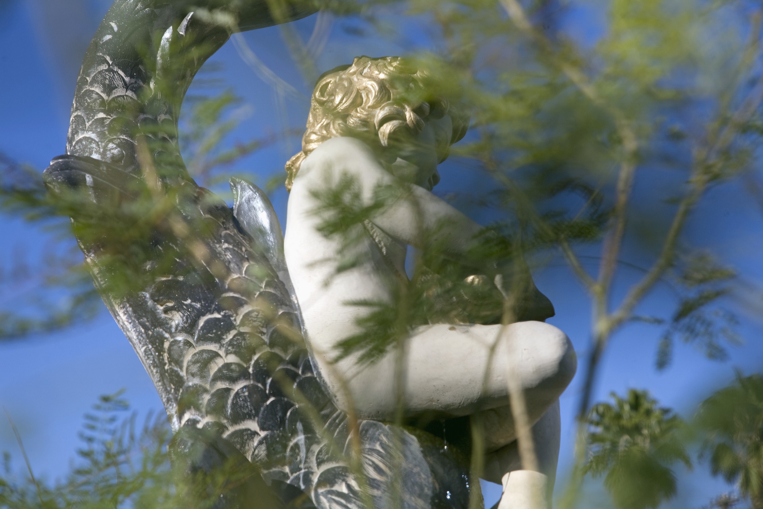   Putto and Fish,   2014   