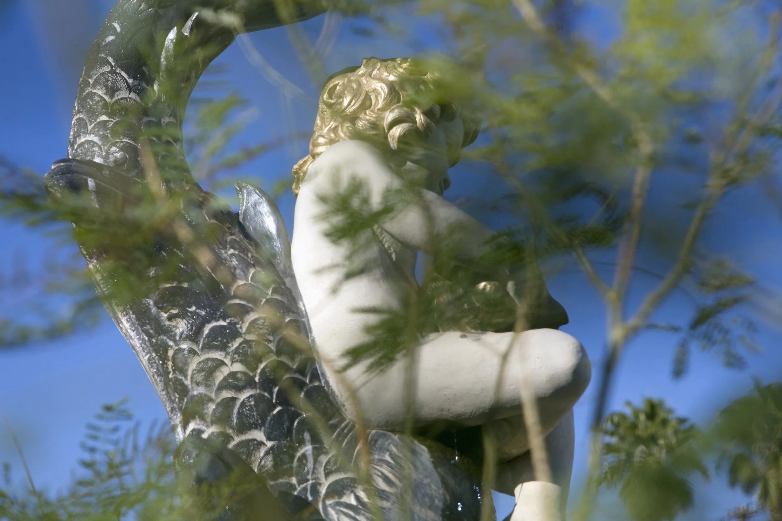 Putto and Fish, 2014