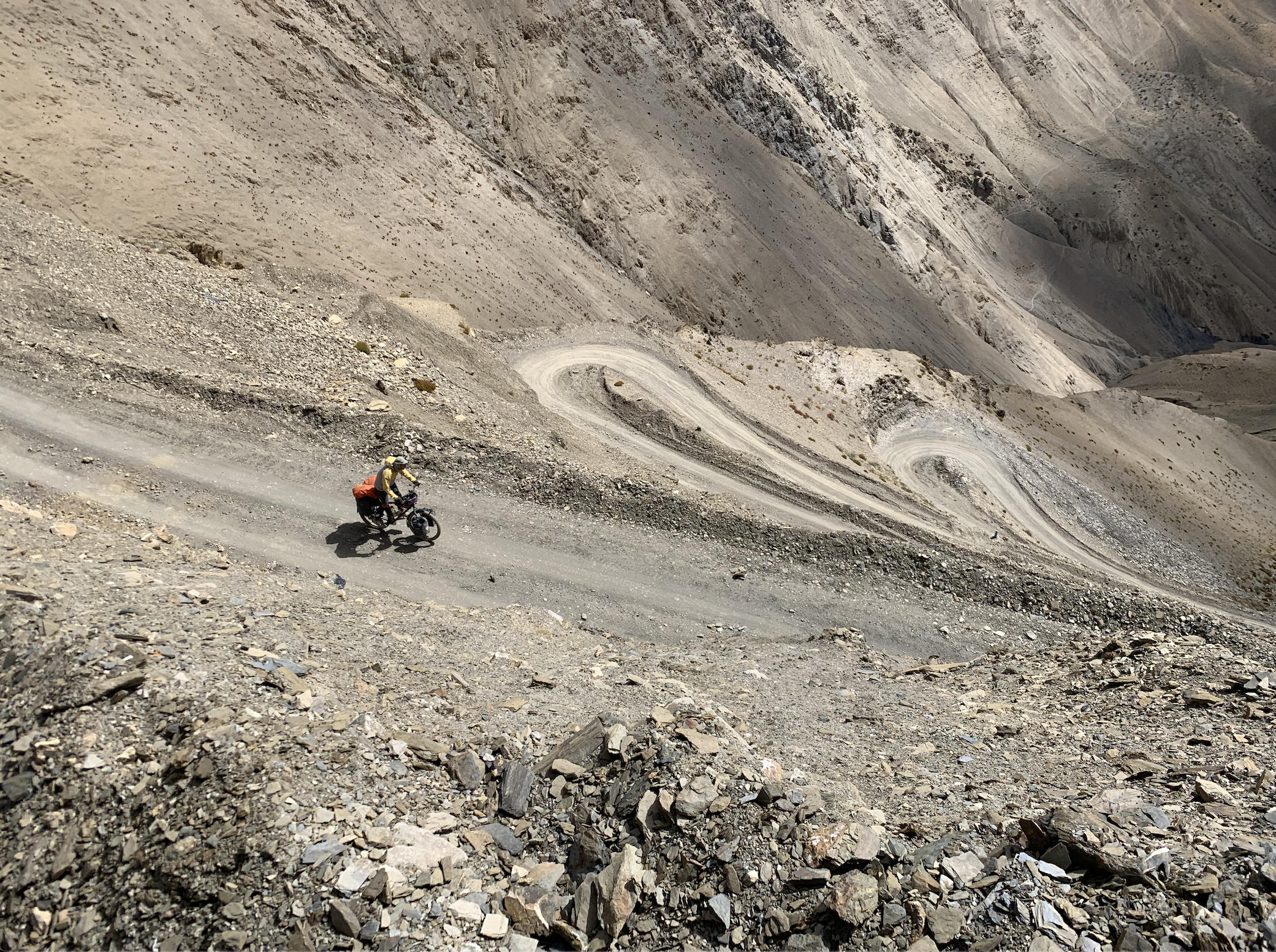 Day 25: Dead and Alive