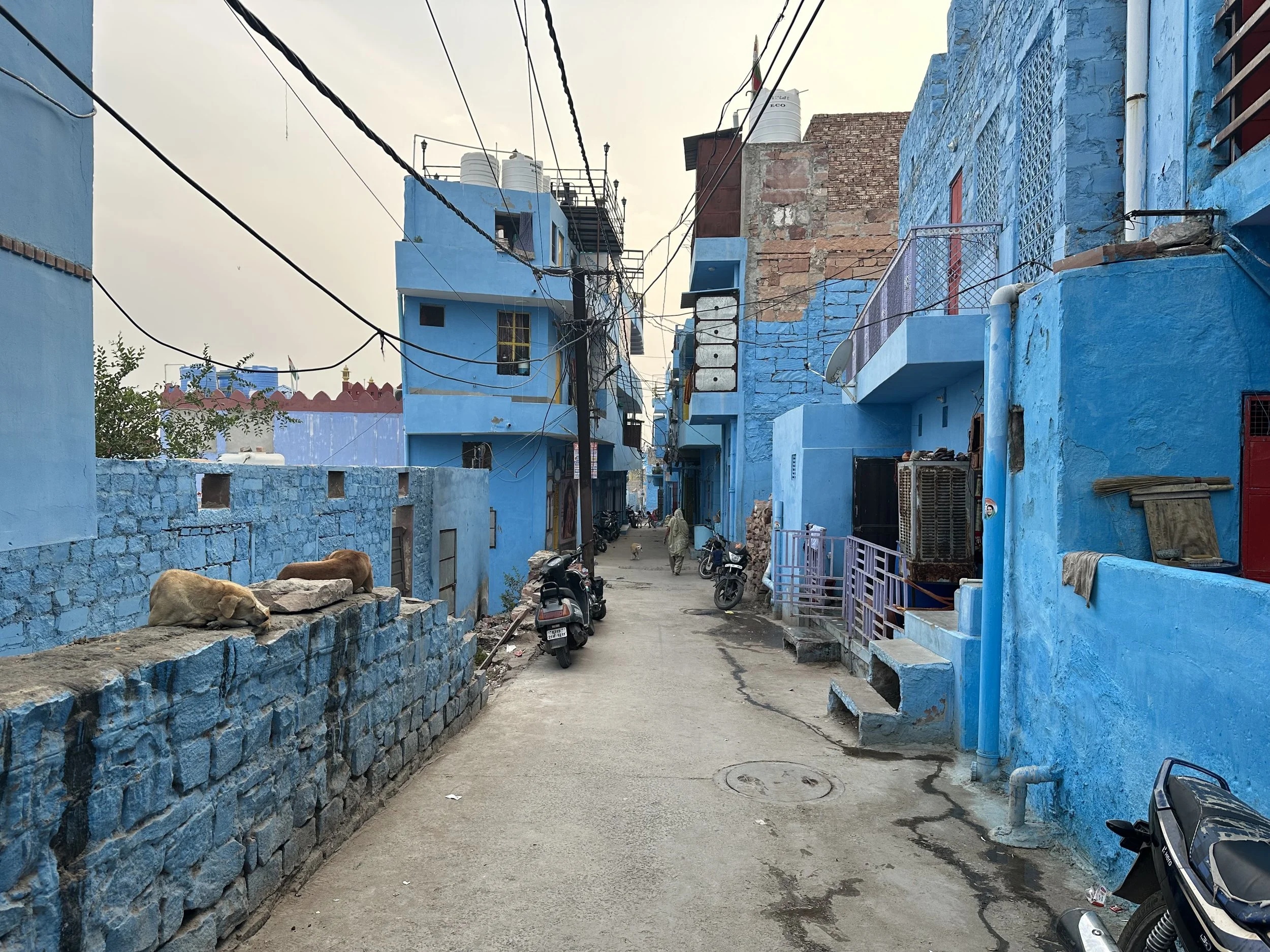 Jodhpur