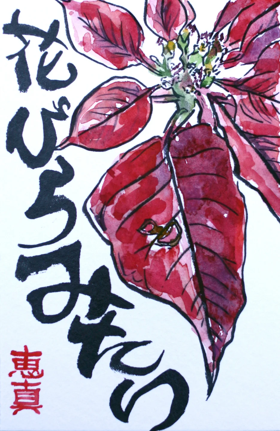 poinsettia copysmall.jpeg