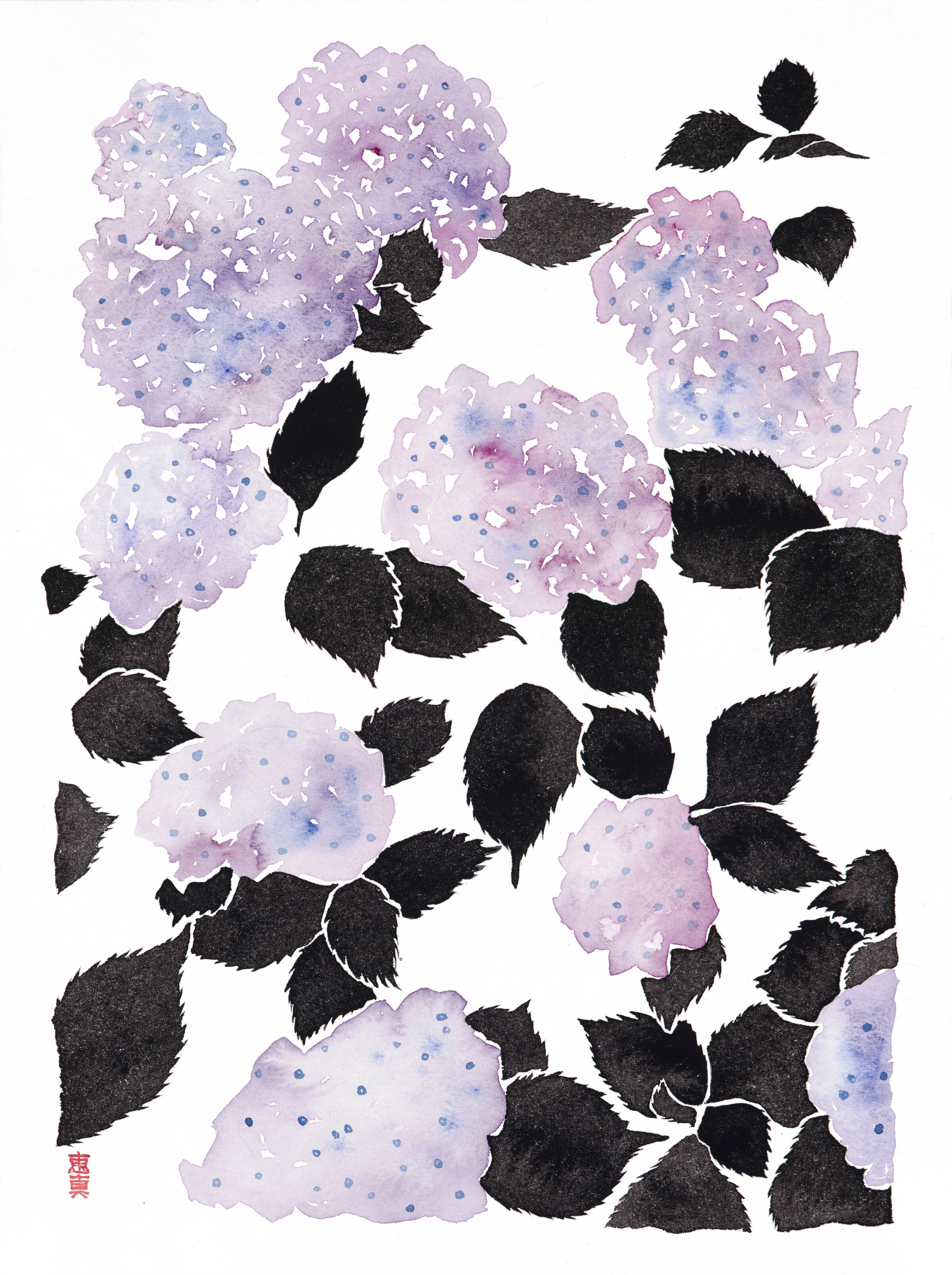 Hydrangea1_s.jpg